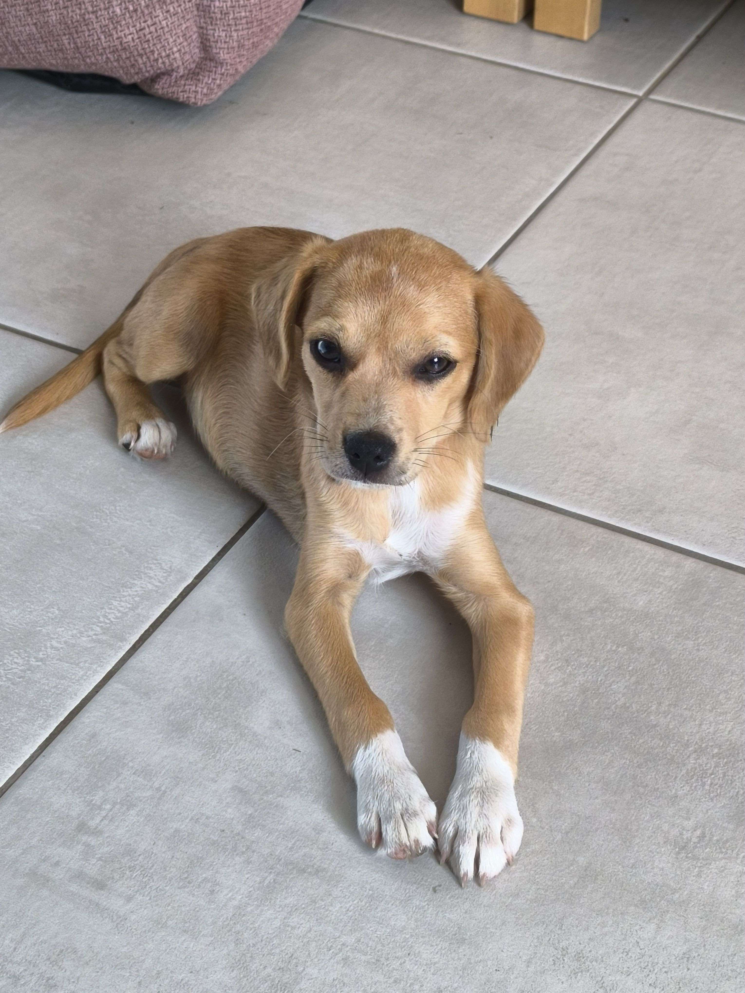 Photo 1 - Un peu de mignonnerie🤩😍
Quelle photo préférez-vous ?😍