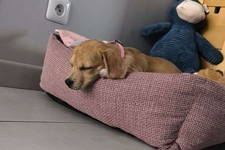 Photo 2 - Un peu de mignonnerie🤩😍
Quelle photo préférez-vous ?😍