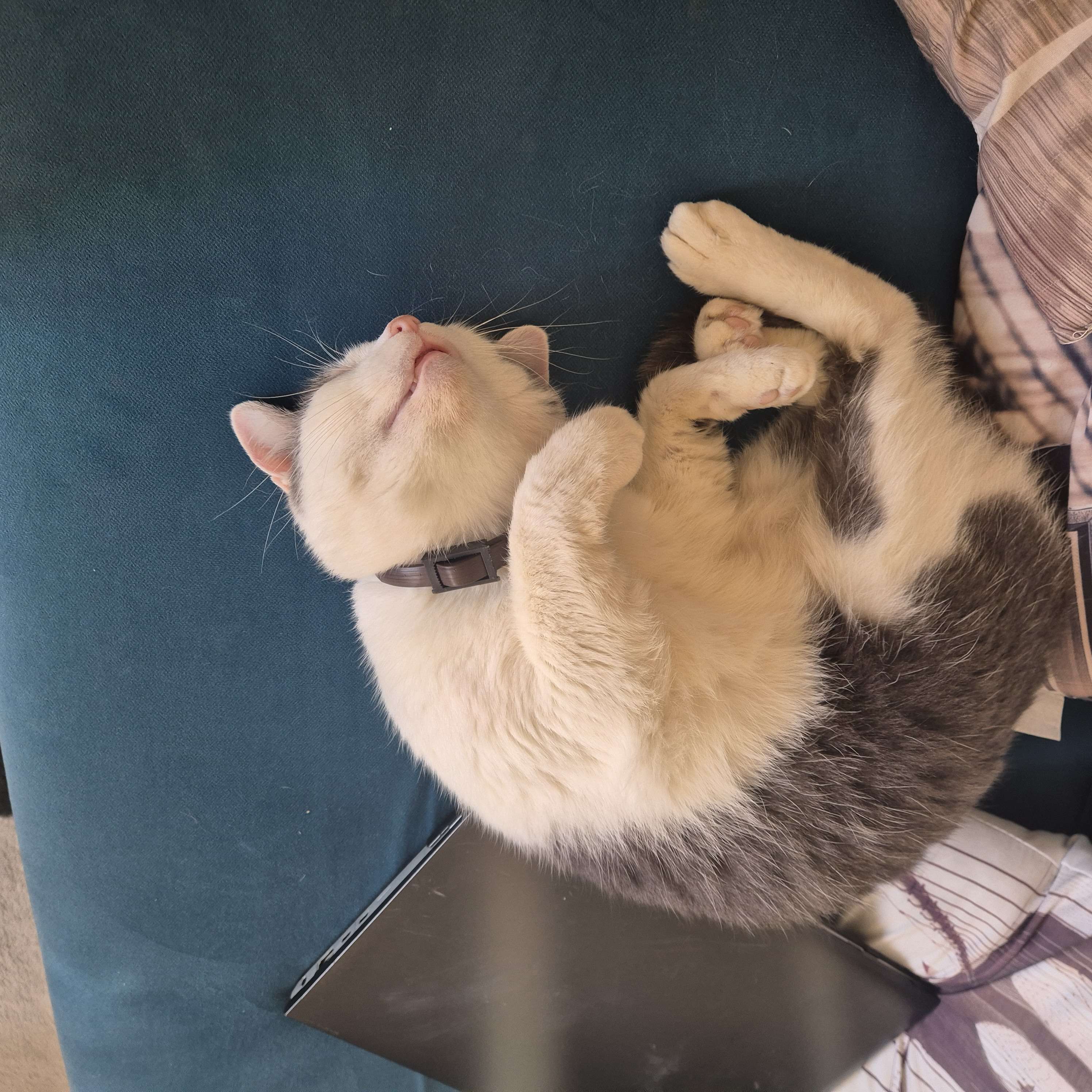 Photo 2 - #repos