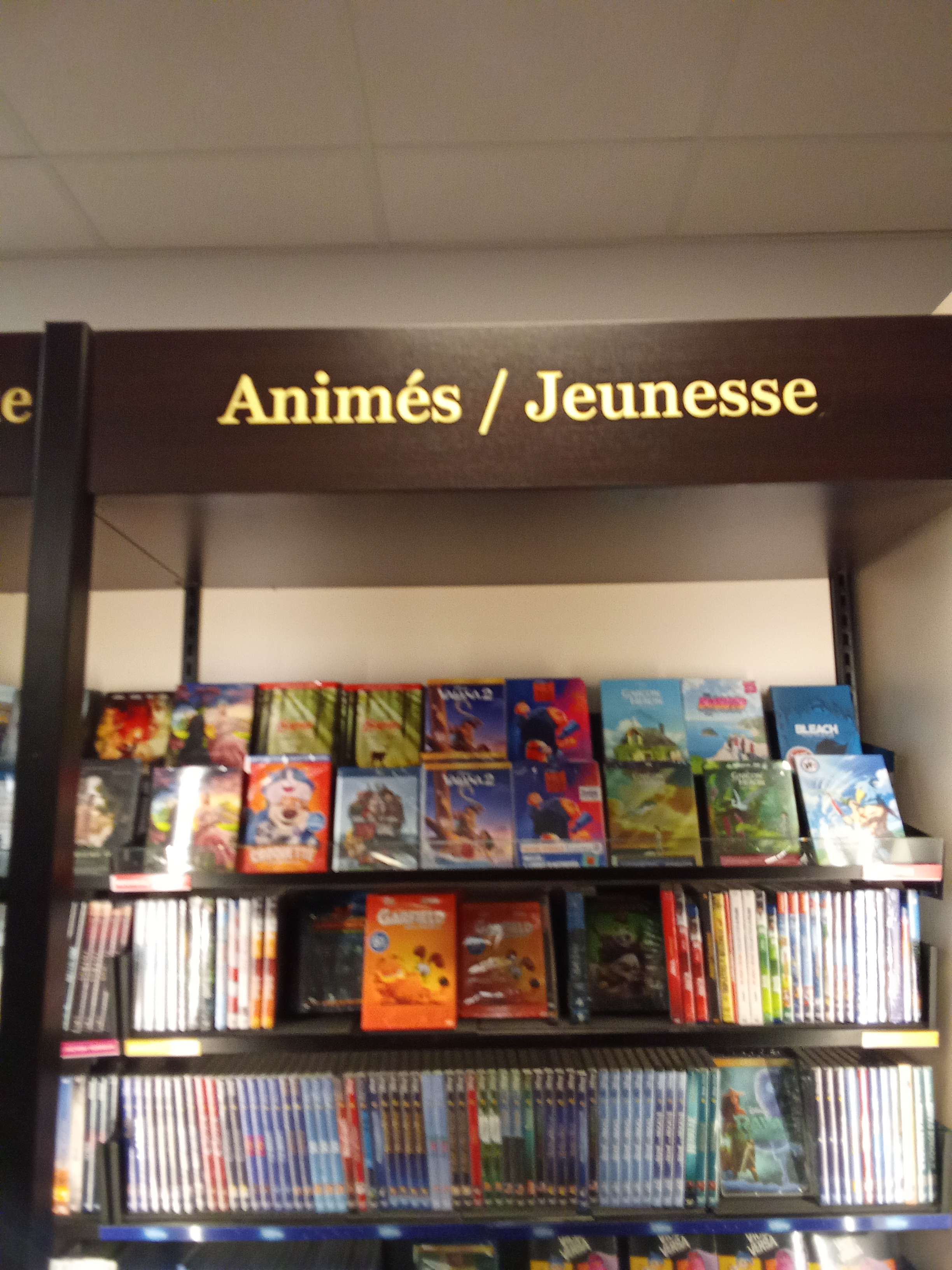 Donc l&agrave; pour enfant/anim&eacute; j'ai trouv&eacute; fnaf... Soit c'est pour traumatis&eacute; les enfants ou le film est tellement bidon que c'est pour les enfants...