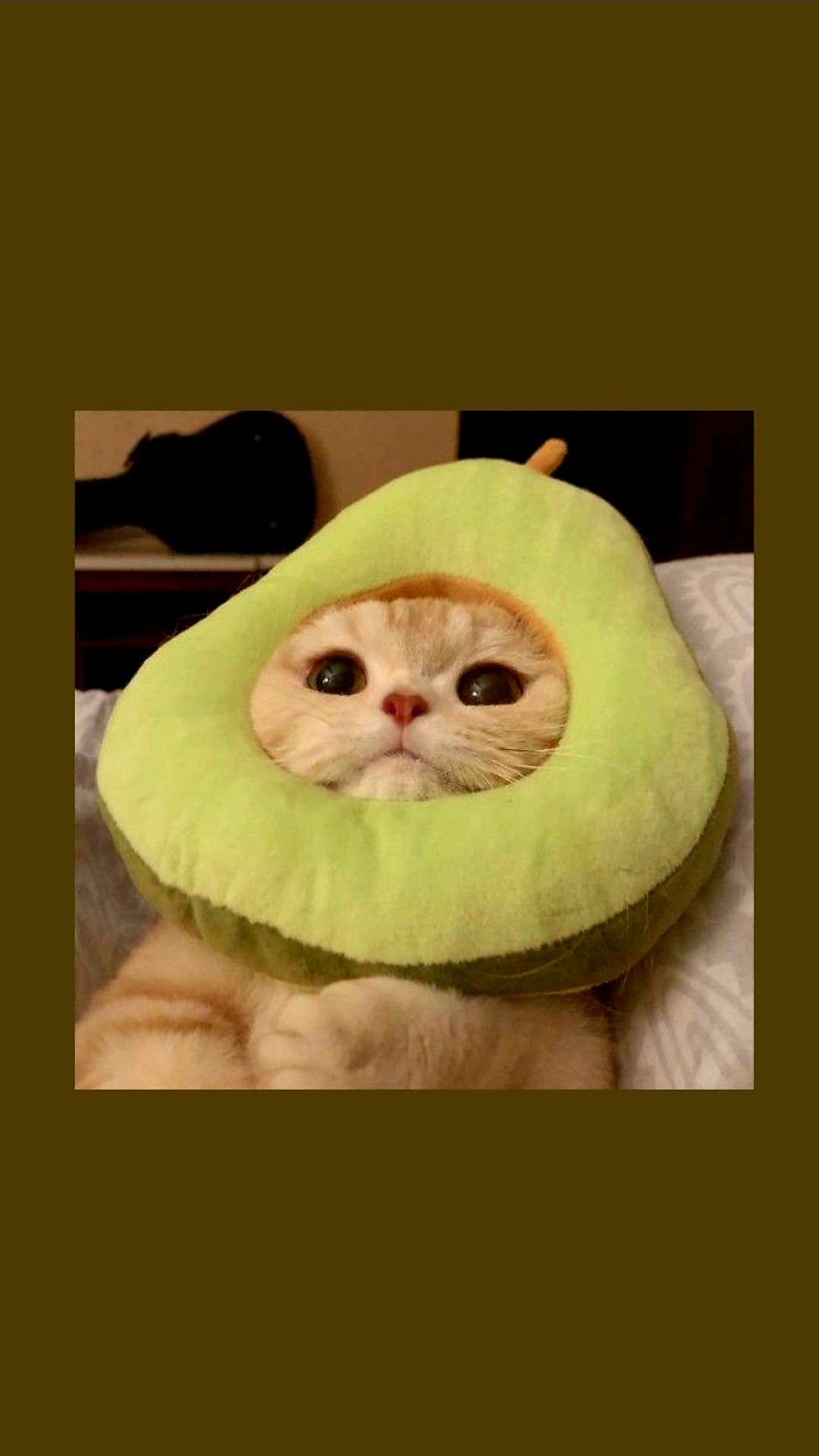 Laquelle est mieux  pour ma nouvelle pdp ?