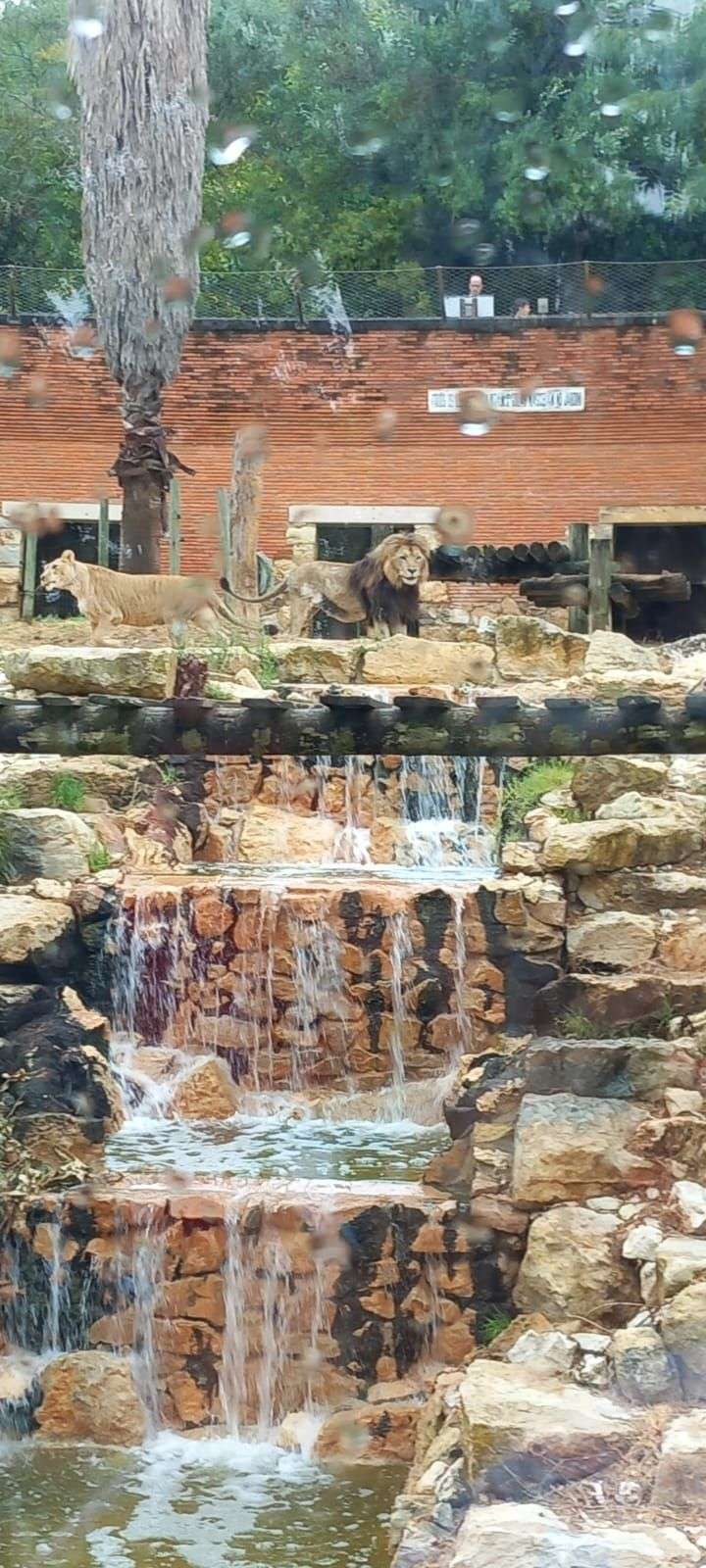 Superbe journ&eacute;e a Lisbonne le zoo etais incroyable🇵🇹❤️😍