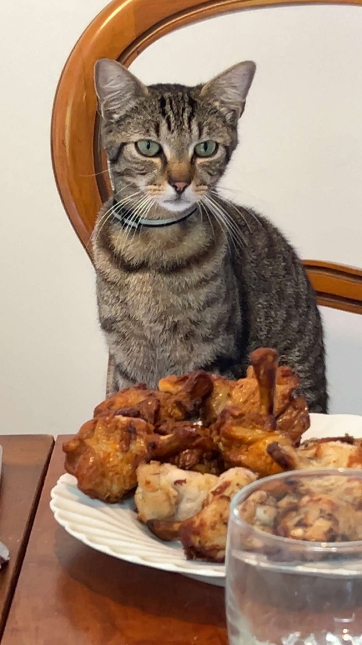 Bonne app&eacute;tit tout le monde 😁
( il &agrave; bav&eacute; devant)