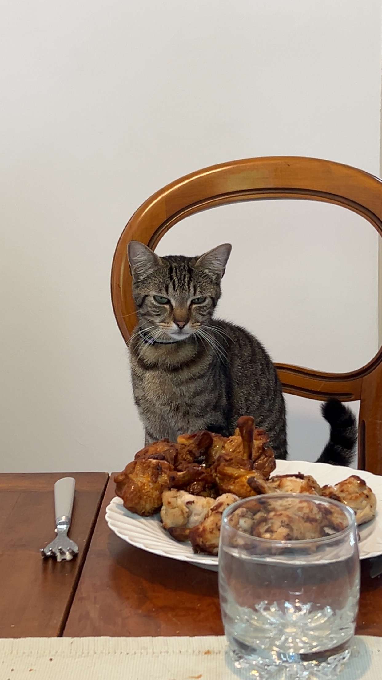 Photo 2 - Bonne appétit tout le monde 😁
( il à bavé devant)