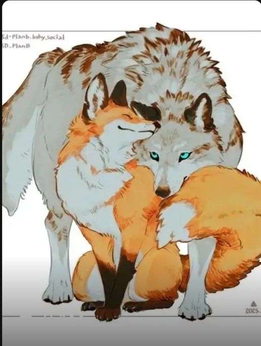 Pour vous, quelle est la photo qui repr&eacute;sente le mieux l'harmonie entre le loup et le renard ?