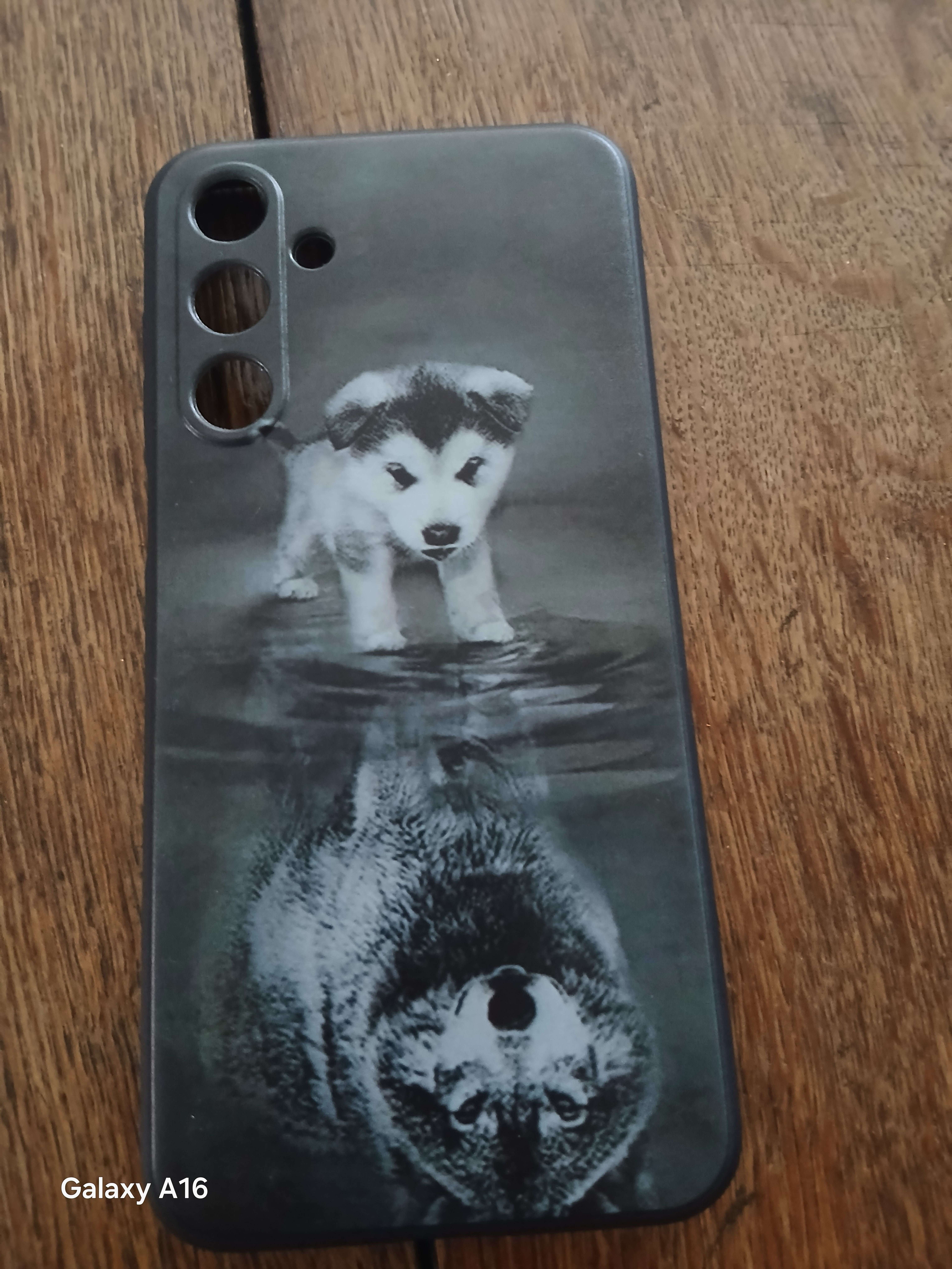 La quelle de ces coque je devrais mettre.