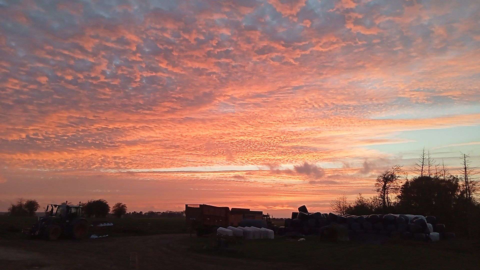 Photo 2 - La quelle est la plus belle ?