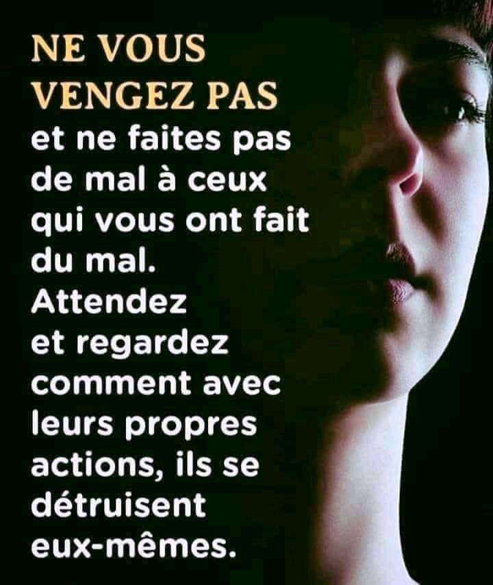 Photo 1 - Vous allez faire quoi selon vs?