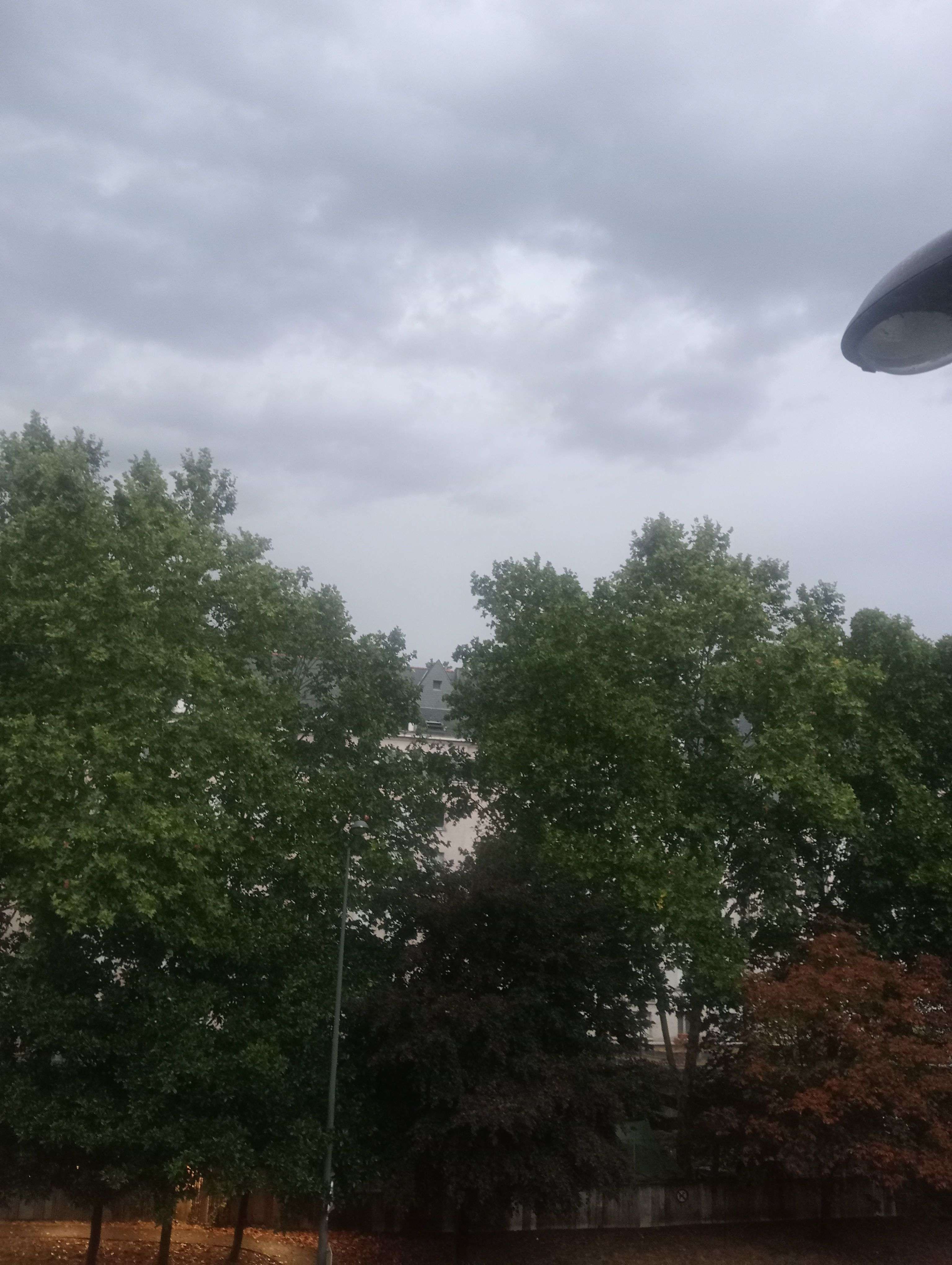 Photo 1 - J'aime trop les vibes sombre comme ça ,c'est si poétique 😼