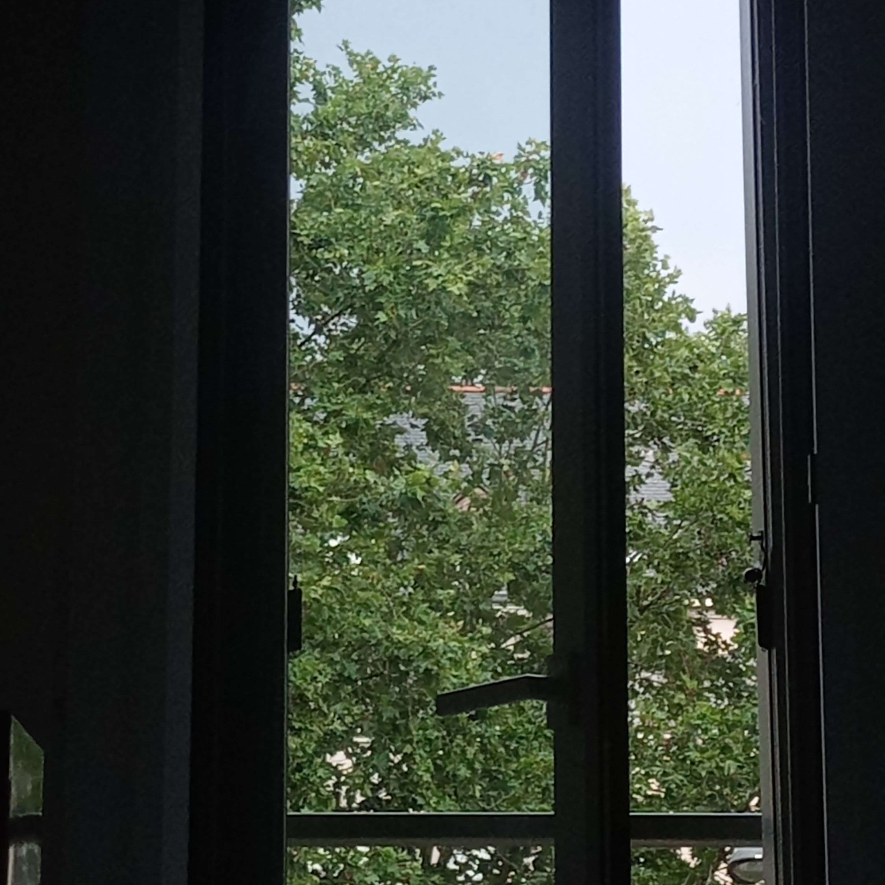 Photo 3 - J'aime trop les vibes sombre comme ça ,c'est si poétique 😼