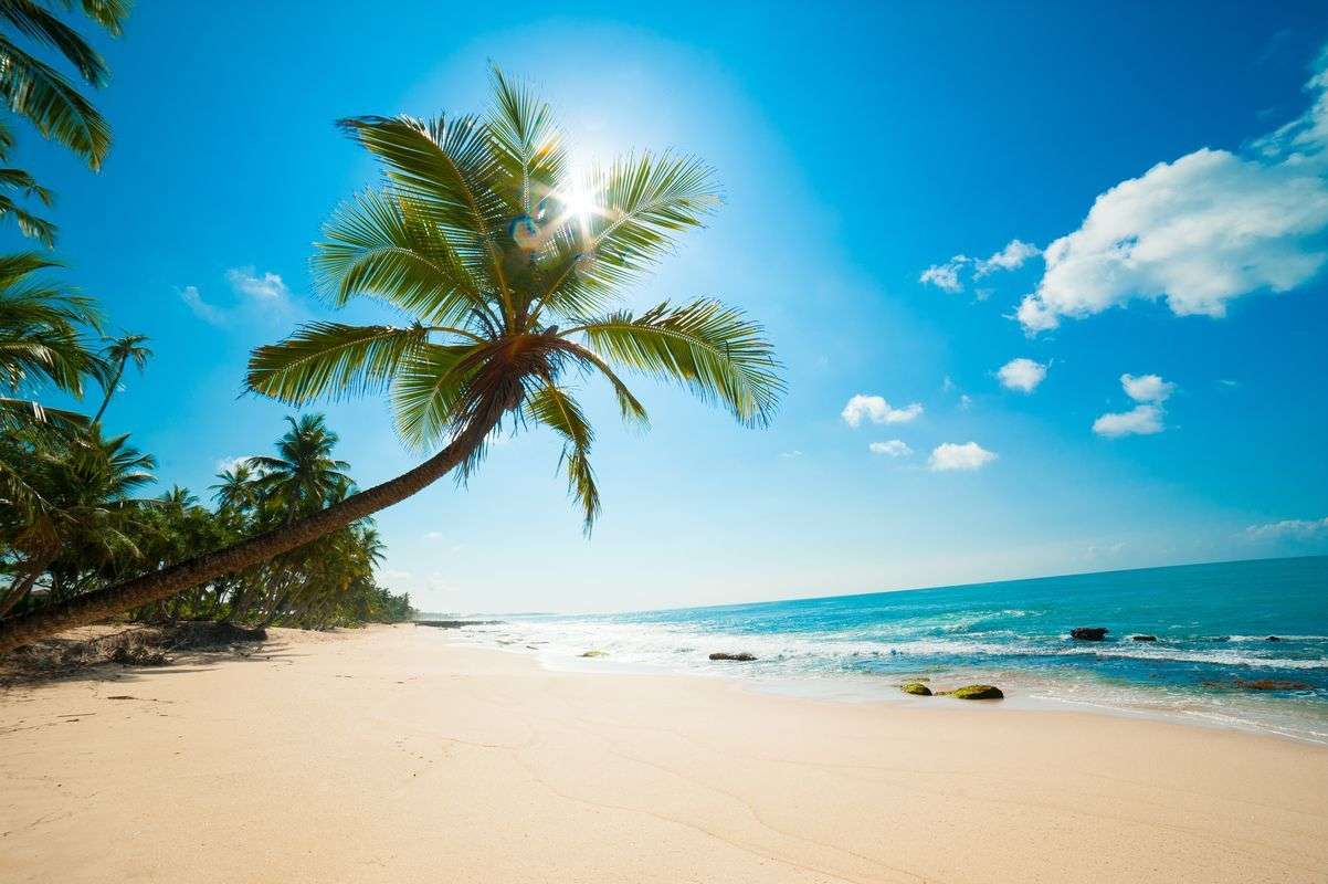 Photo 1 - Vous préférez quelle saison?

1) Été
2) Autonome
3) Hiver
4) Printemps