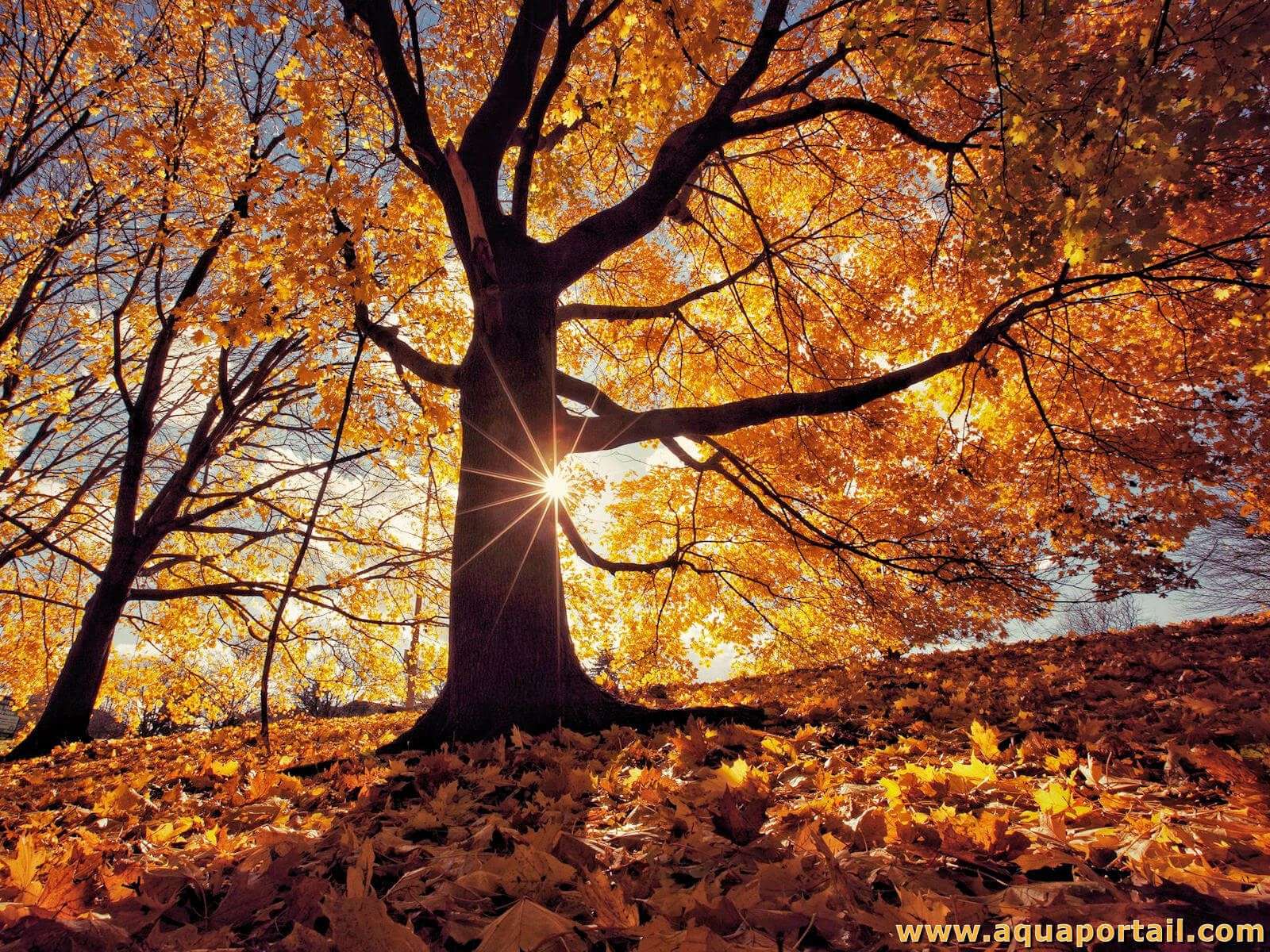 Photo 2 - Vous préférez quelle saison?

1) Été
2) Autonome
3) Hiver
4) Printemps
