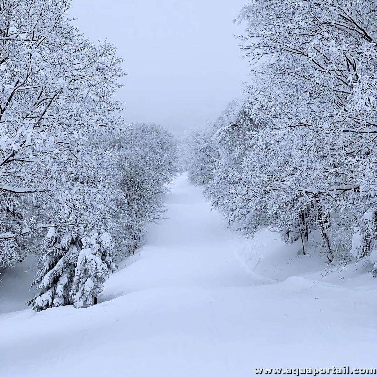 Photo 3 - Vous préférez quelle saison?

1) Été
2) Autonome
3) Hiver
4) Printemps