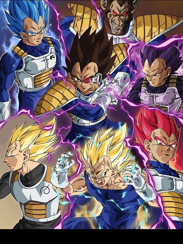 Photo 2 - Vous préférez quel perso?

1) Kakarot
2) Végéta 

Moi persos Végéta