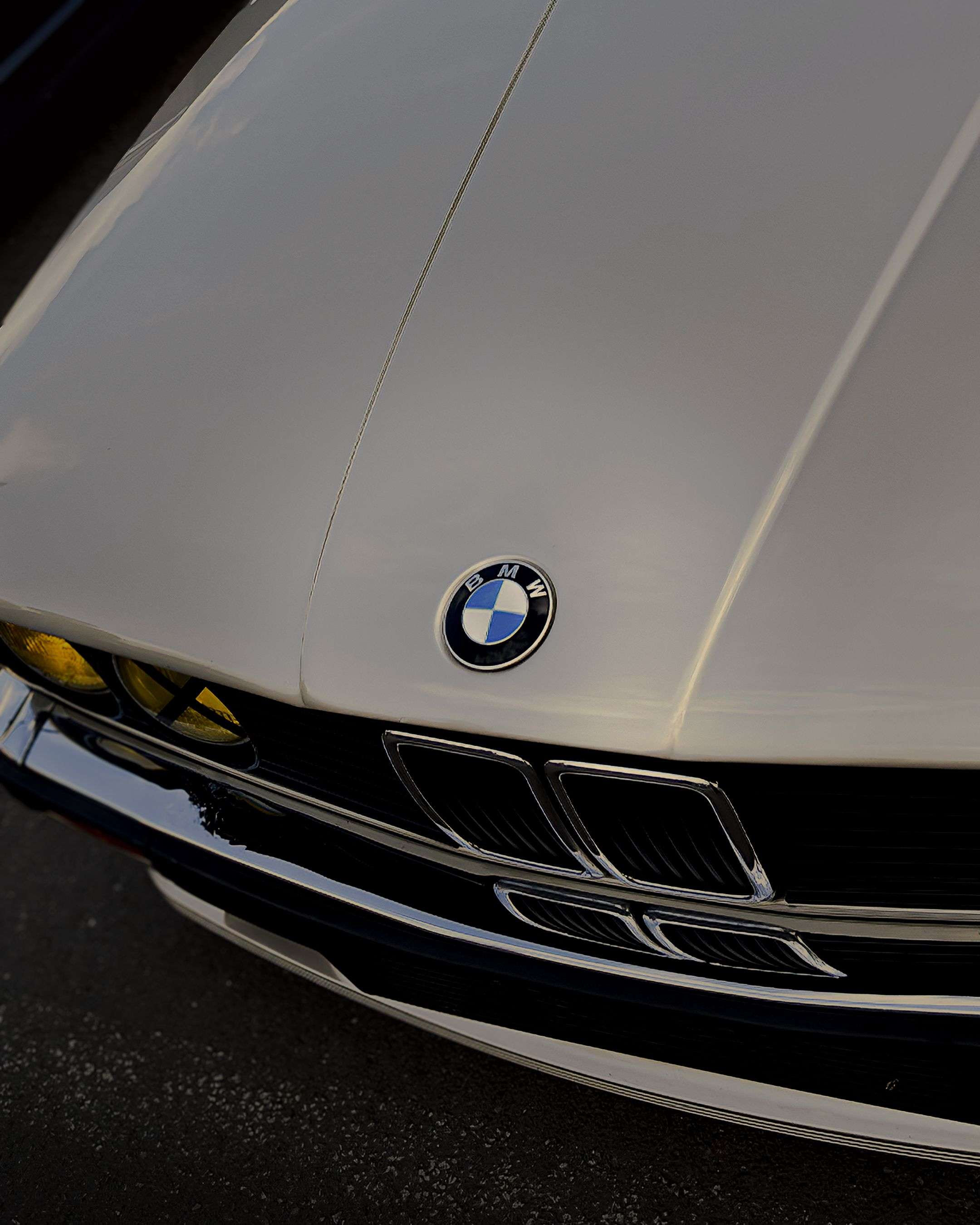 Photo 3 - ça va changer la DA du profil photo peu à peu, vous aimez ?

(allez vous abo svp: florent.autography)