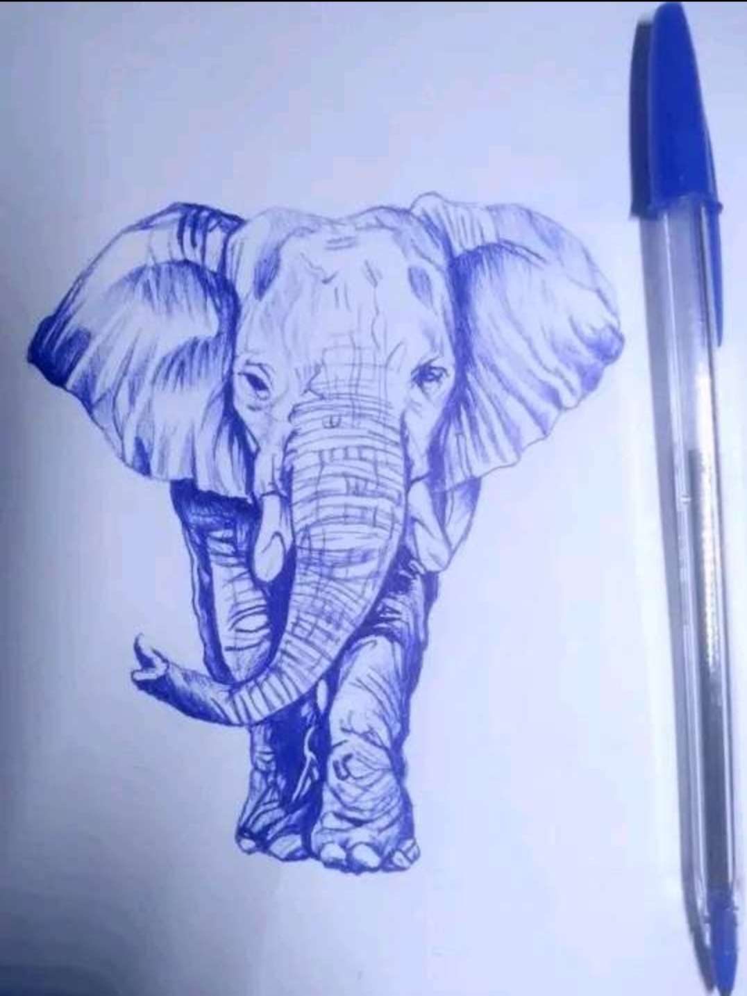 Photo 4 - C’est l’heure de la grande finale 🏆🎨

Votez pour votre dessin préféré afin d’élire le gagnant du concours ✏️