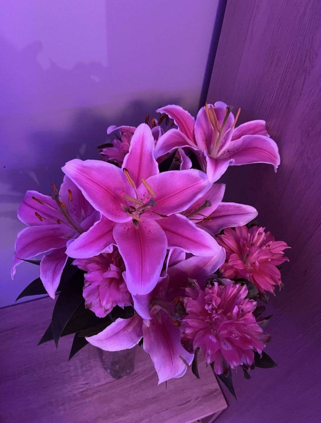 Photo 2 - 🌸 CONCOURS PHOTO DE FLEURS PHASE 1 🌸

Groupe 2

Votez pour votre photo préférée parmi les 3

La photo qui obtiendra le plus de votes se qualifiera pour le tour suivant 