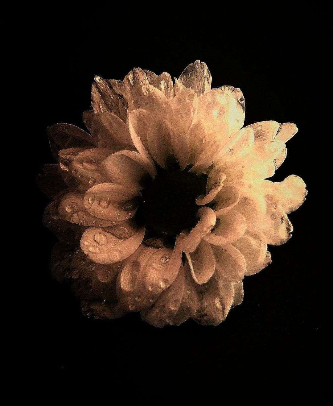 🌸 CONCOURS PHOTO DE FLEURS PHASE 1 🌸

Groupe 3

Votez pour votre photo pr&eacute;f&eacute;r&eacute;e parmi les 3

La photo qui obtiendra le plus de votes se qualifiera pour le tour suivant&nbsp;