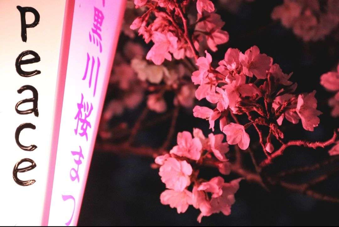 Photo 3 - 🌸 CONCOURS PHOTO DE FLEURS PHASE 1 🌸

Groupe 3

Votez pour votre photo préférée parmi les 3

La photo qui obtiendra le plus de votes se qualifiera pour le tour suivant 