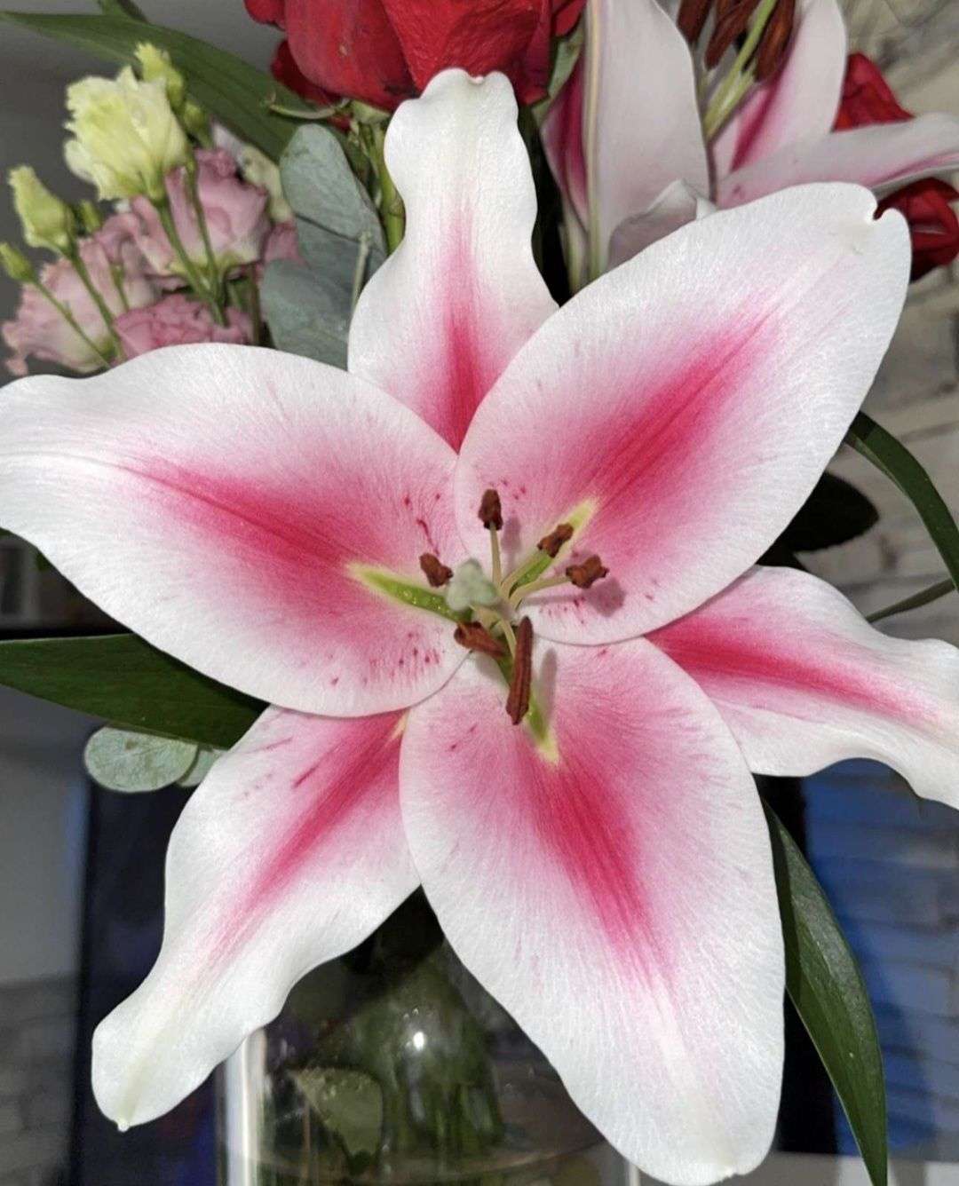 🌸 CONCOURS PHOTO DE FLEURS PHASE 2 🌸

Duel 2

Votez pour votre photo pr&eacute;f&eacute;r&eacute;e

La photo qui obtiendra le plus de votes se qualifiera pour la finale