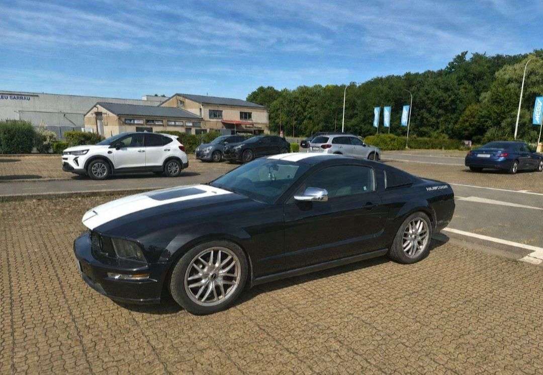 Phase 1 concours photo de voitures 🚗

Votez pour votre photo pr&eacute;f&eacute;r&eacute;e
La photo qui obtiendra le plus de votes passera &agrave; la phase suivante