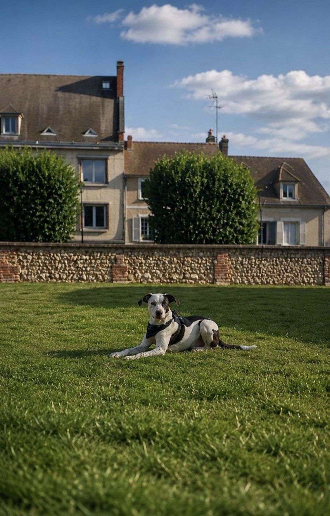 Photo 3 - 📸 PHASE 1 — CONCOURS PHOTO

Votez pour votre photo préférée
Les 2 photos avec le plus de votes passent à la phase suivante