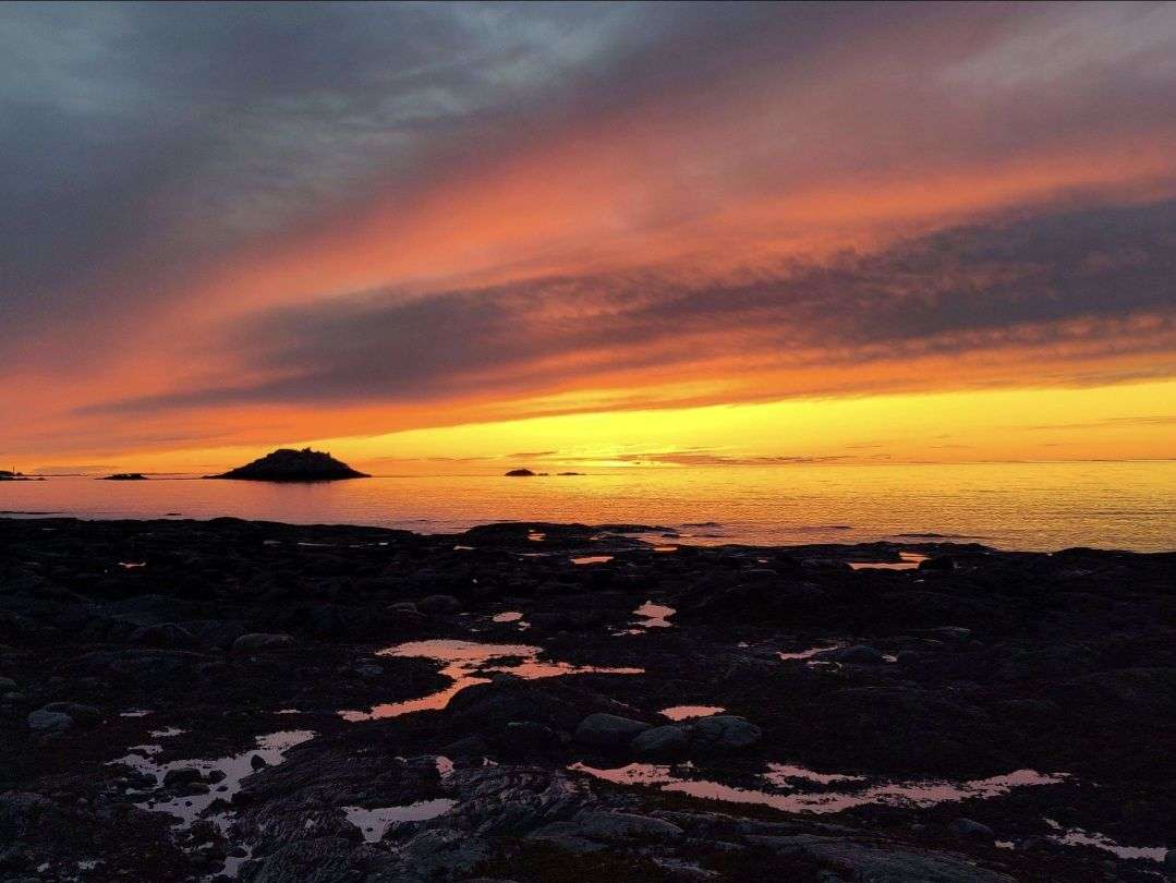 📸 FINALE DU CONCOURS PHOTO ! 🏆

Votez pour votre photo pr&eacute;f&eacute;r&eacute;e.
Celle qui obtiendra le plus de votes remportera le concours et sera sacr&eacute;e grande gagnante 🏆