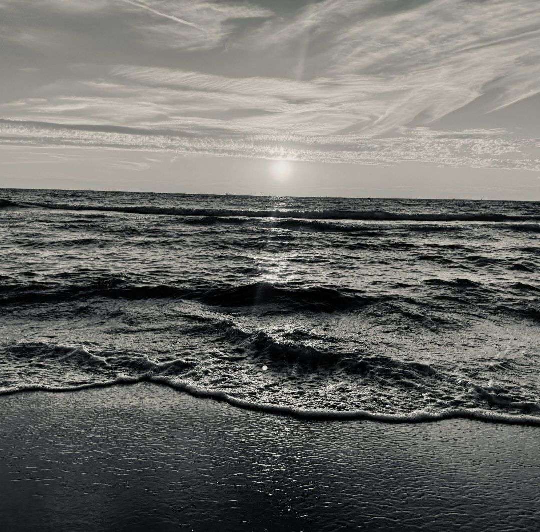 PHASE 1 CONCOURS PHOTO &mdash; NOIR ET BLANC 🖤🤍

 Votez pour votre photo pr&eacute;f&eacute;r&eacute;e

La photo qui obtiendra le plus de votes se qualifiera pour la phase suivante