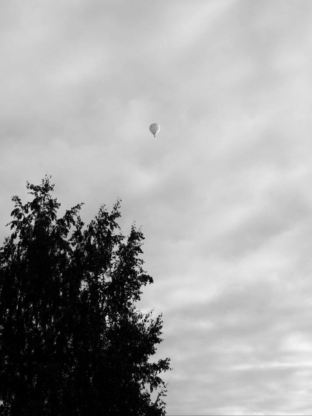 Photo 2 - PHASE 1 CONCOURS PHOTO — NOIR ET BLANC 🖤🤍

 Votez pour votre photo préférée

La photo qui obtiendra le plus de votes se qualifiera pour la phase suivante