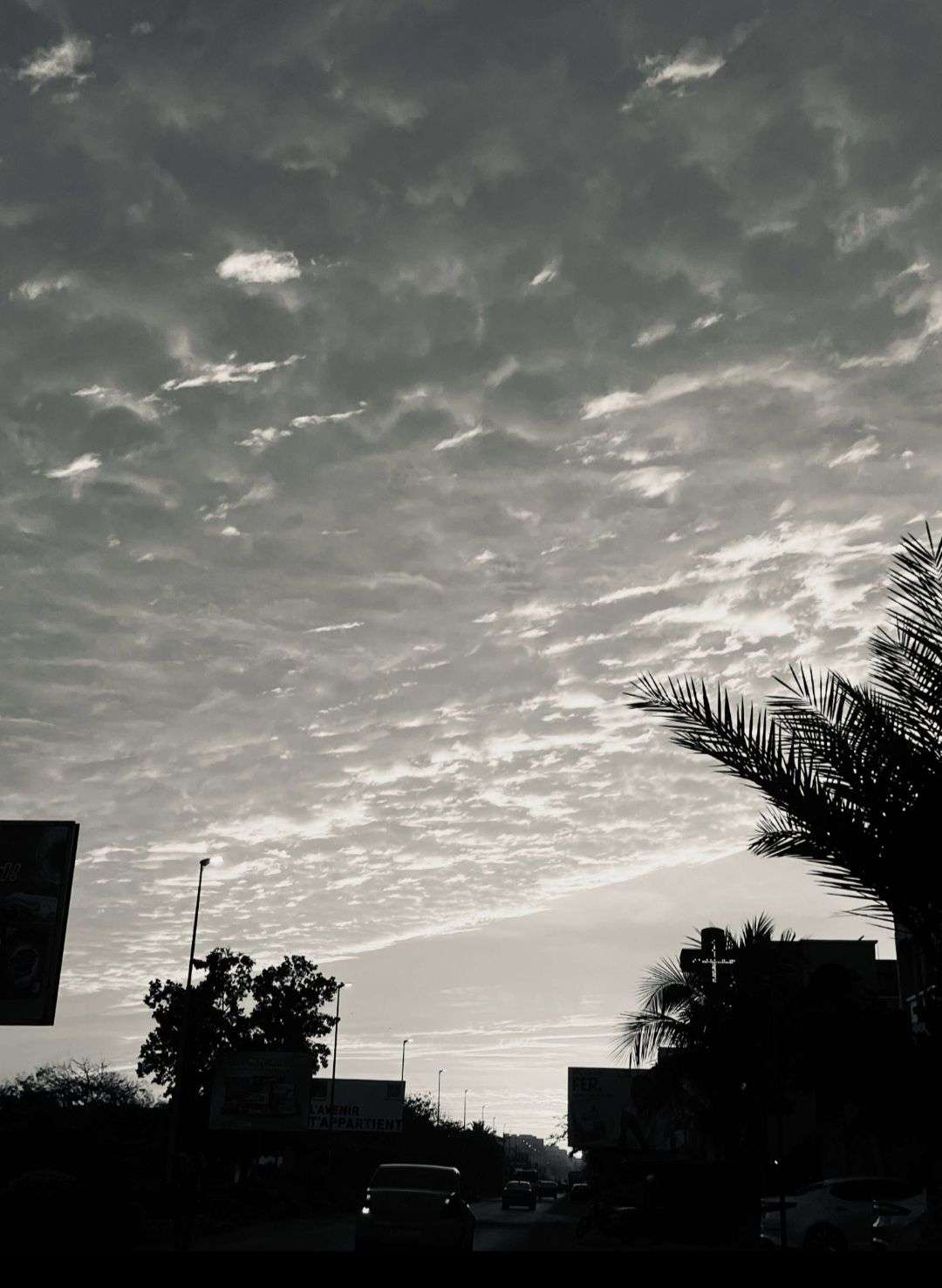 Photo 3 - PHASE 1 CONCOURS PHOTO — NOIR ET BLANC 🖤🤍

 Votez pour votre photo préférée

La photo qui obtiendra le plus de votes se qualifiera pour la phase suivante