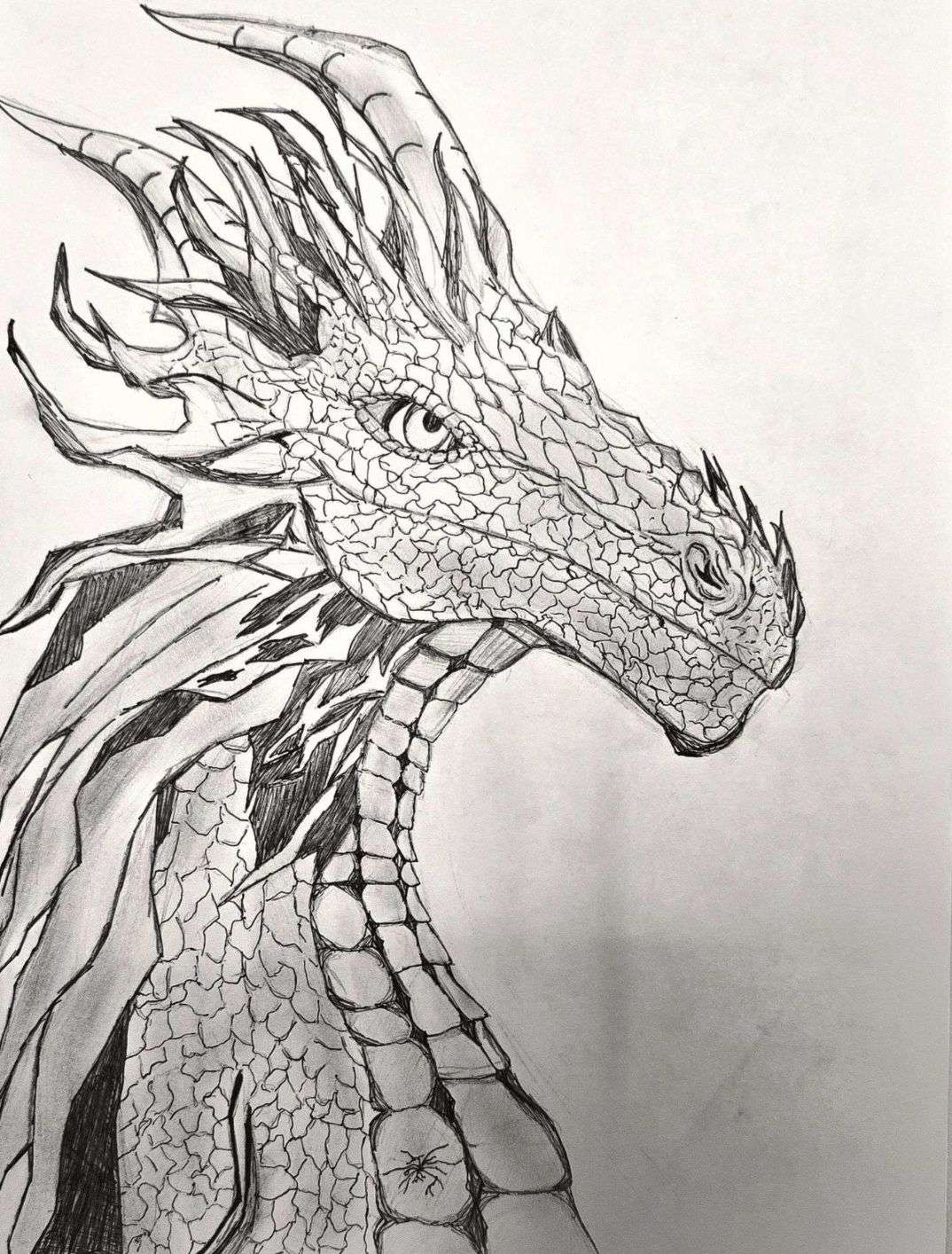 Photo 2 - ✏️ DEMI-FINALES - CONCOURS DESSIN D’ANIMAUX

Votez pour votre dessin préféré, le dessin qui obtiendra le plus de votes se qualifiera pour la finale