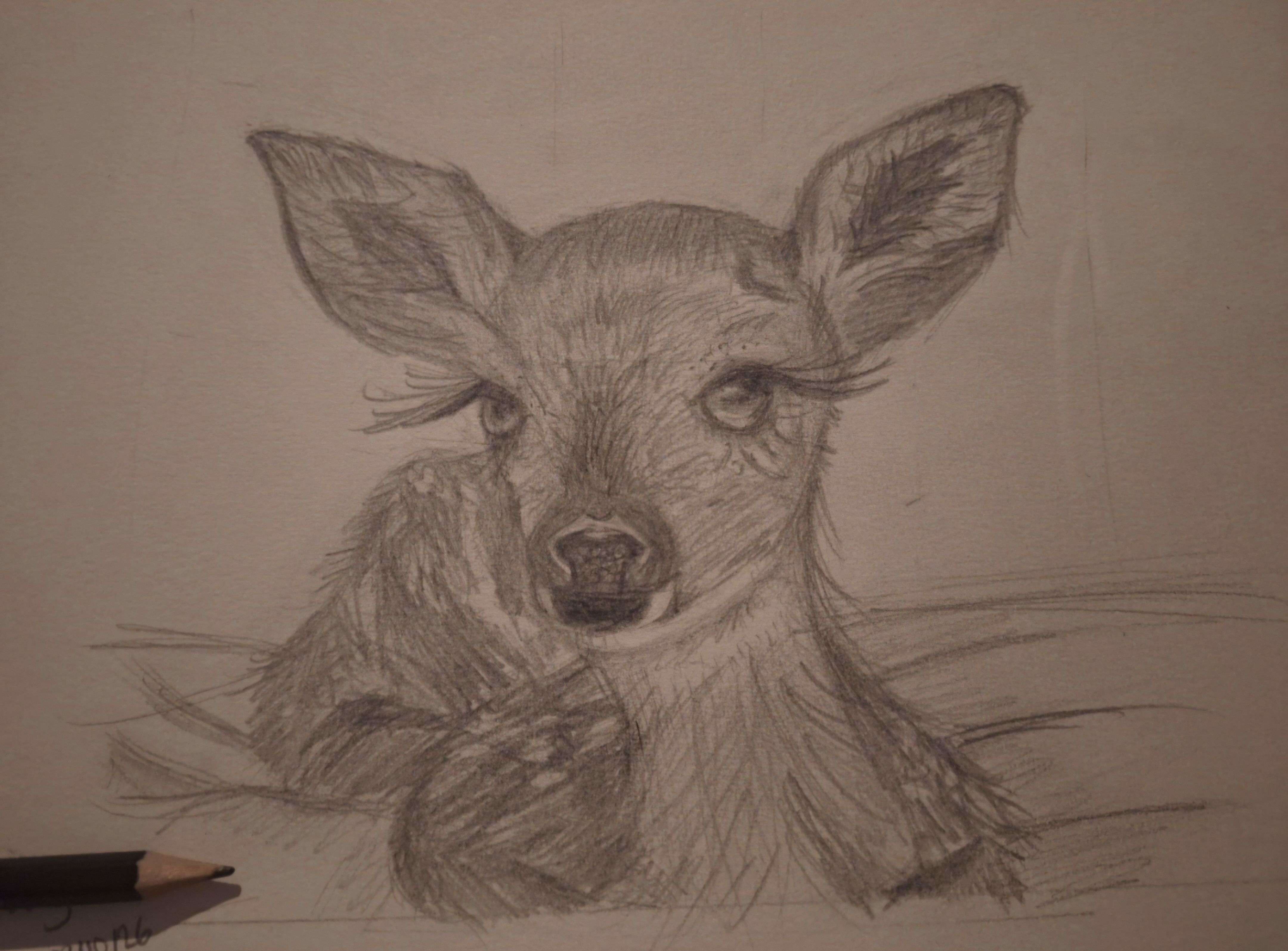 Photo 2 - ✏️ FINALE — CONCOURS DE DESSIN D’ANIMAUX

Votez pour votre dessin préféré

Celui qui obtiendra le plus de votes sera sacré grand gagnant du concours