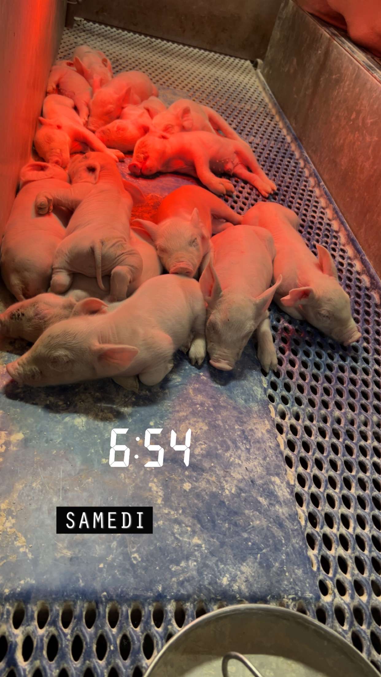 Bonne journ&eacute;e et bon week-end &agrave; vous
Perso je suis au travail