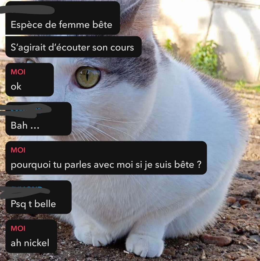 les hommes