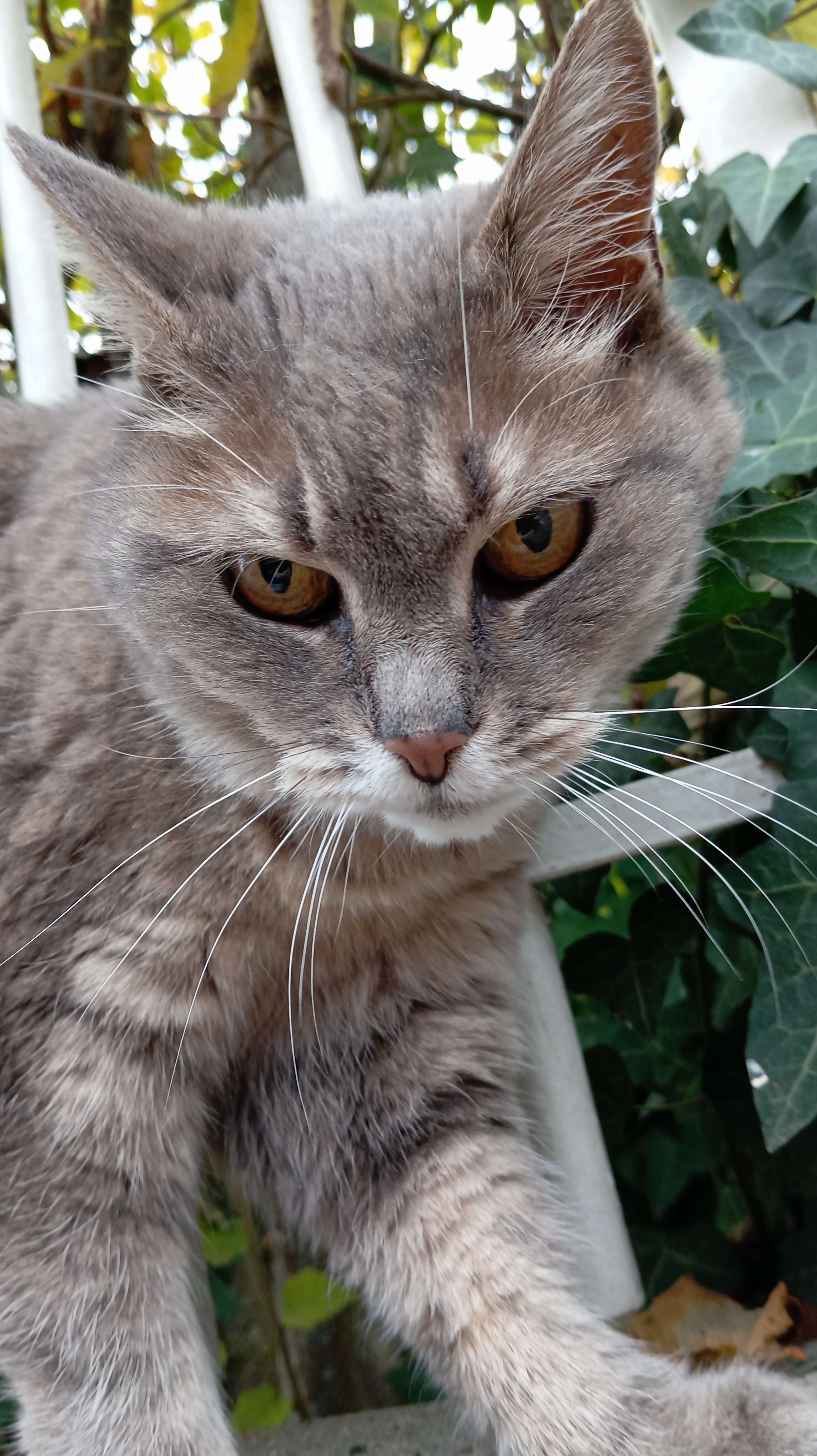 je l'ai crois&eacute;e dans la rue, elle est trop belle