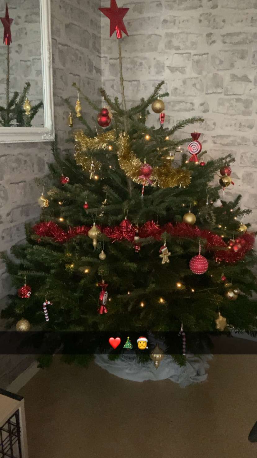 ✨🎄