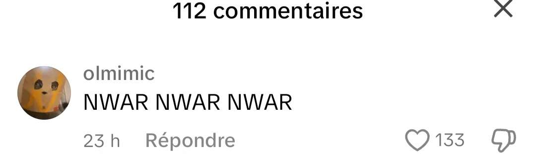 133 likes pour un com raciste