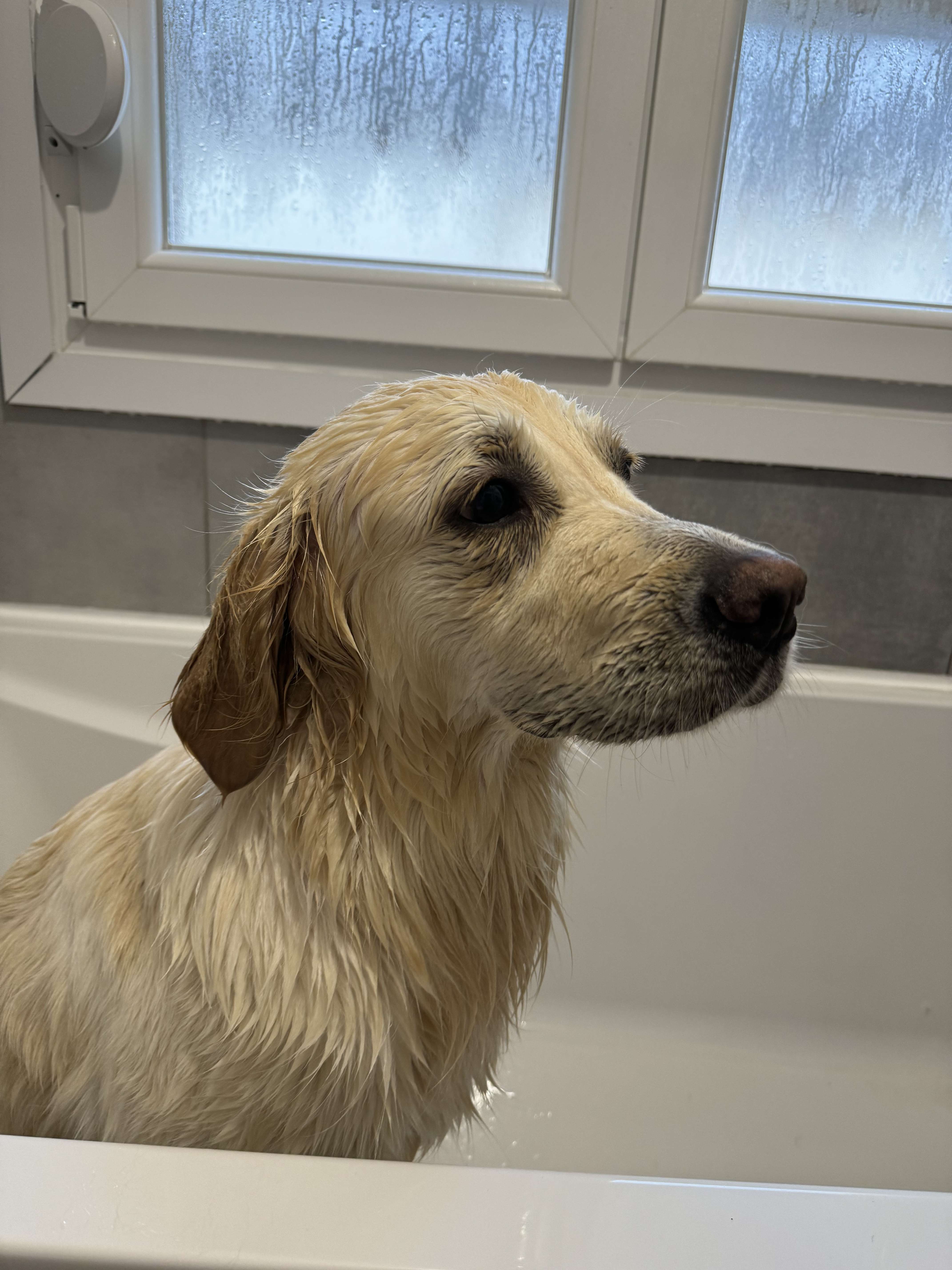 &agrave; la douche 😬🚿