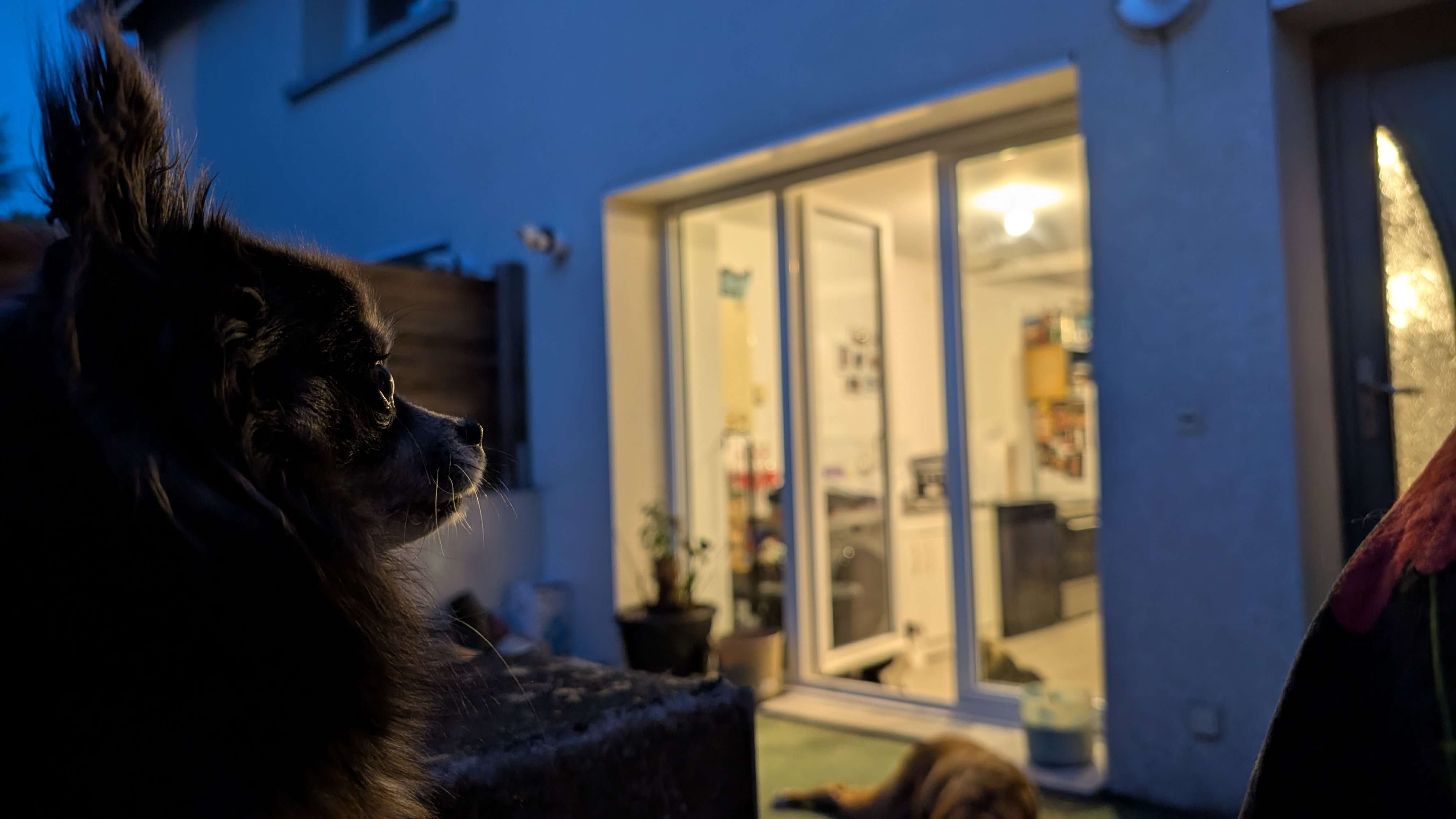 Je voulais juste vous partager une photo que j'ai prise hier. Elle est tellement belle qu'on dirait de l'IA, &ccedil;a me fascine...