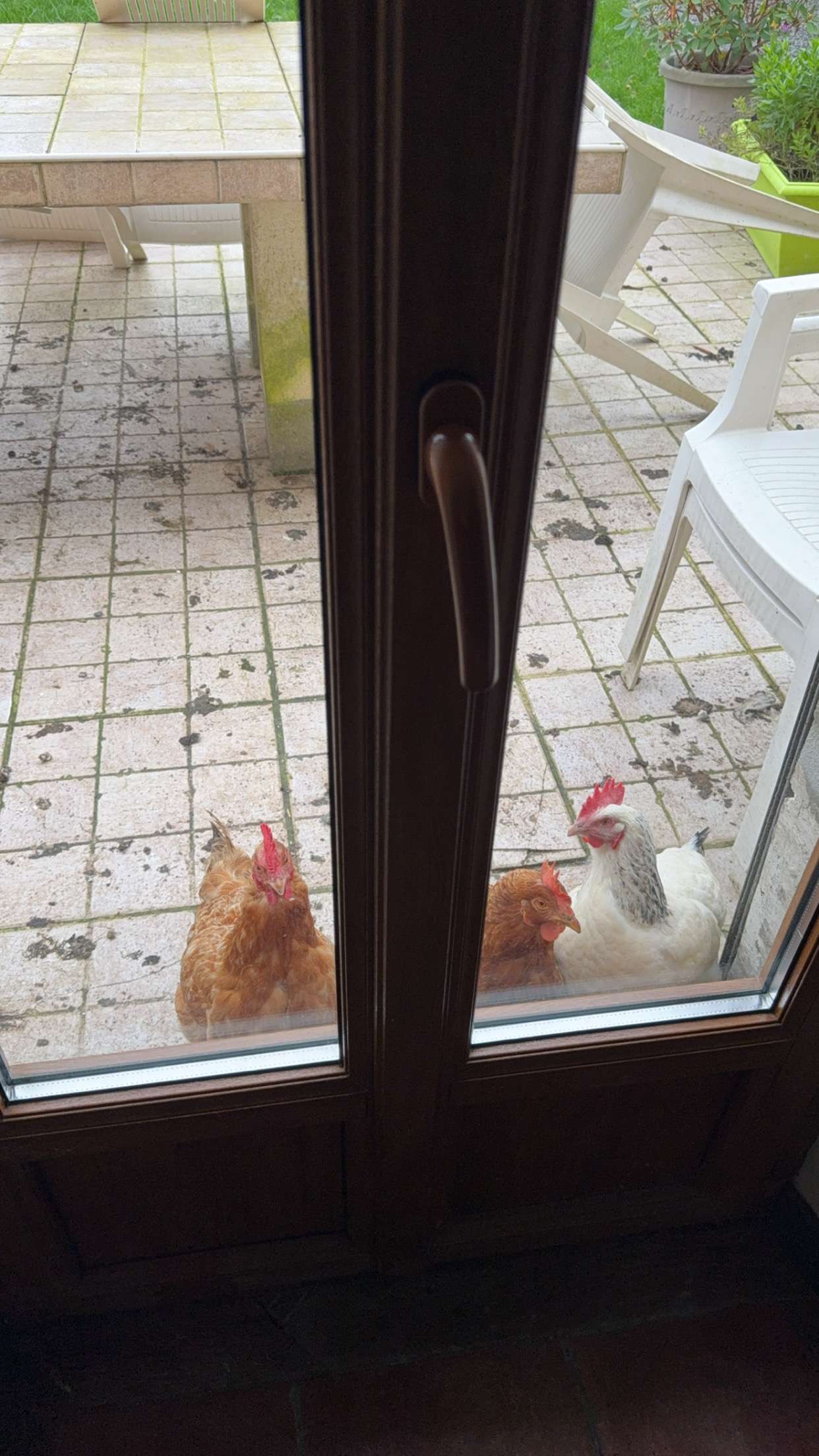 Les flic ils chient partout sur la terrasse et en plus il me stalke 💀
