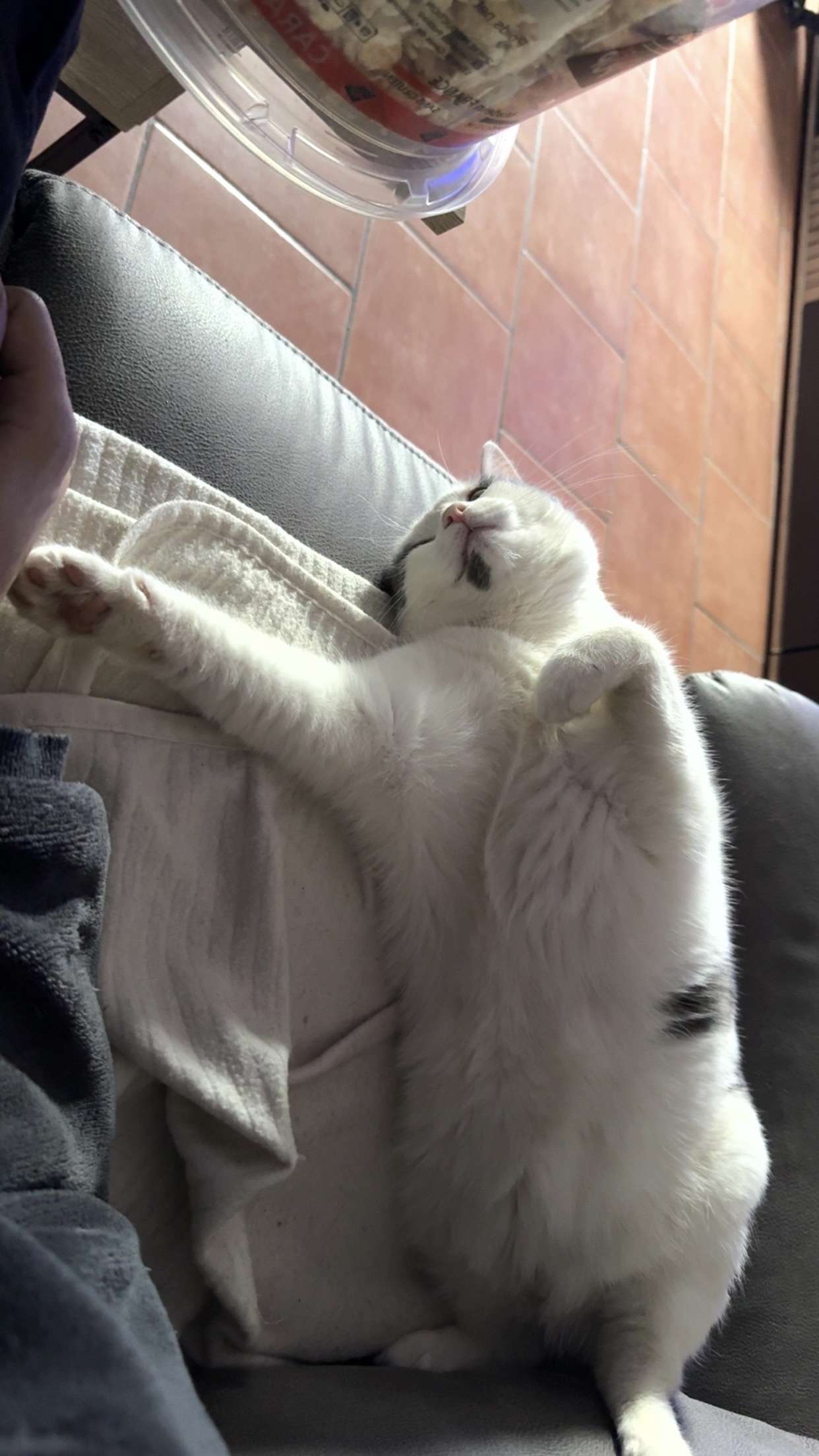 Mon chat m&rsquo;inqui&egrave;te 😭