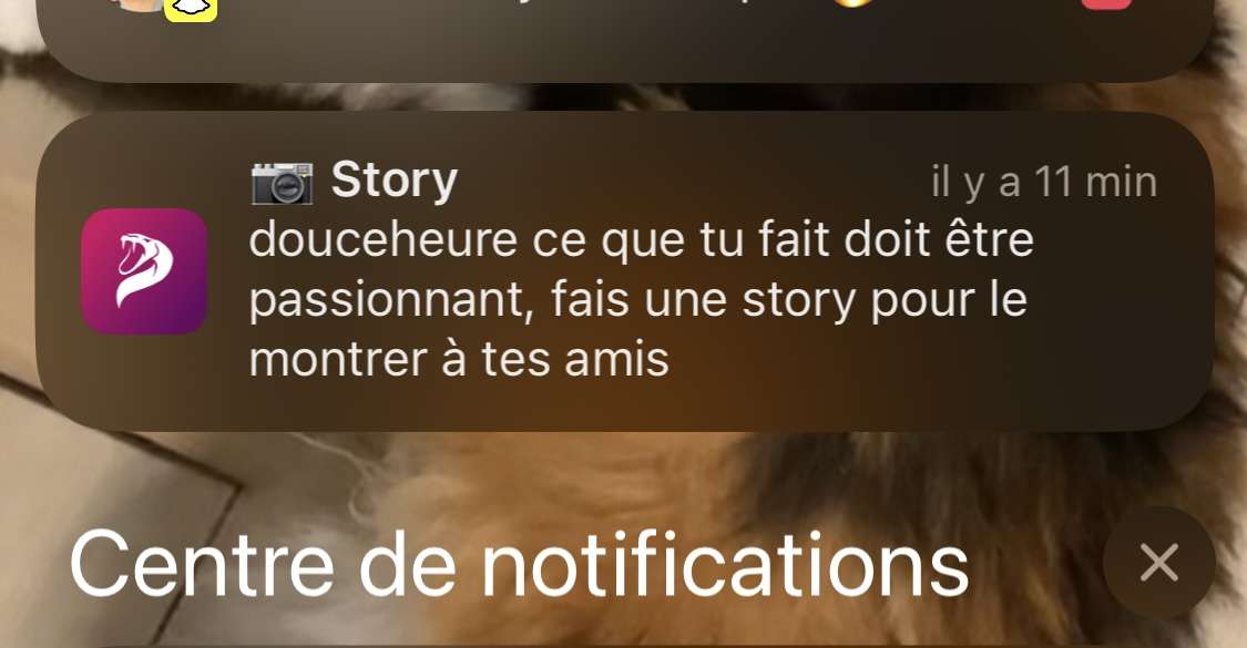 Seule personne qui s&rsquo;int&eacute;resse &agrave; moi :
