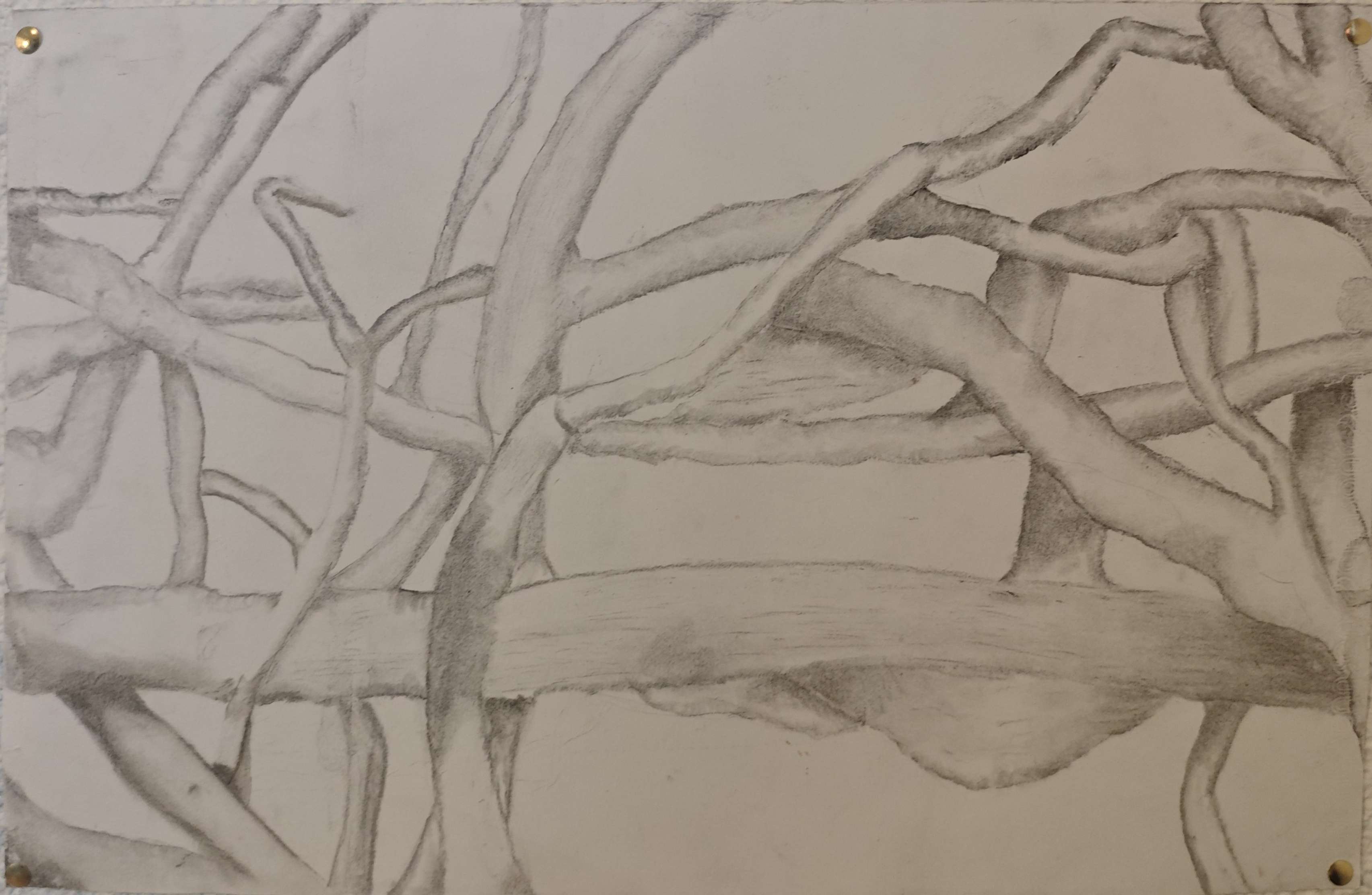 Nouveau dessin !