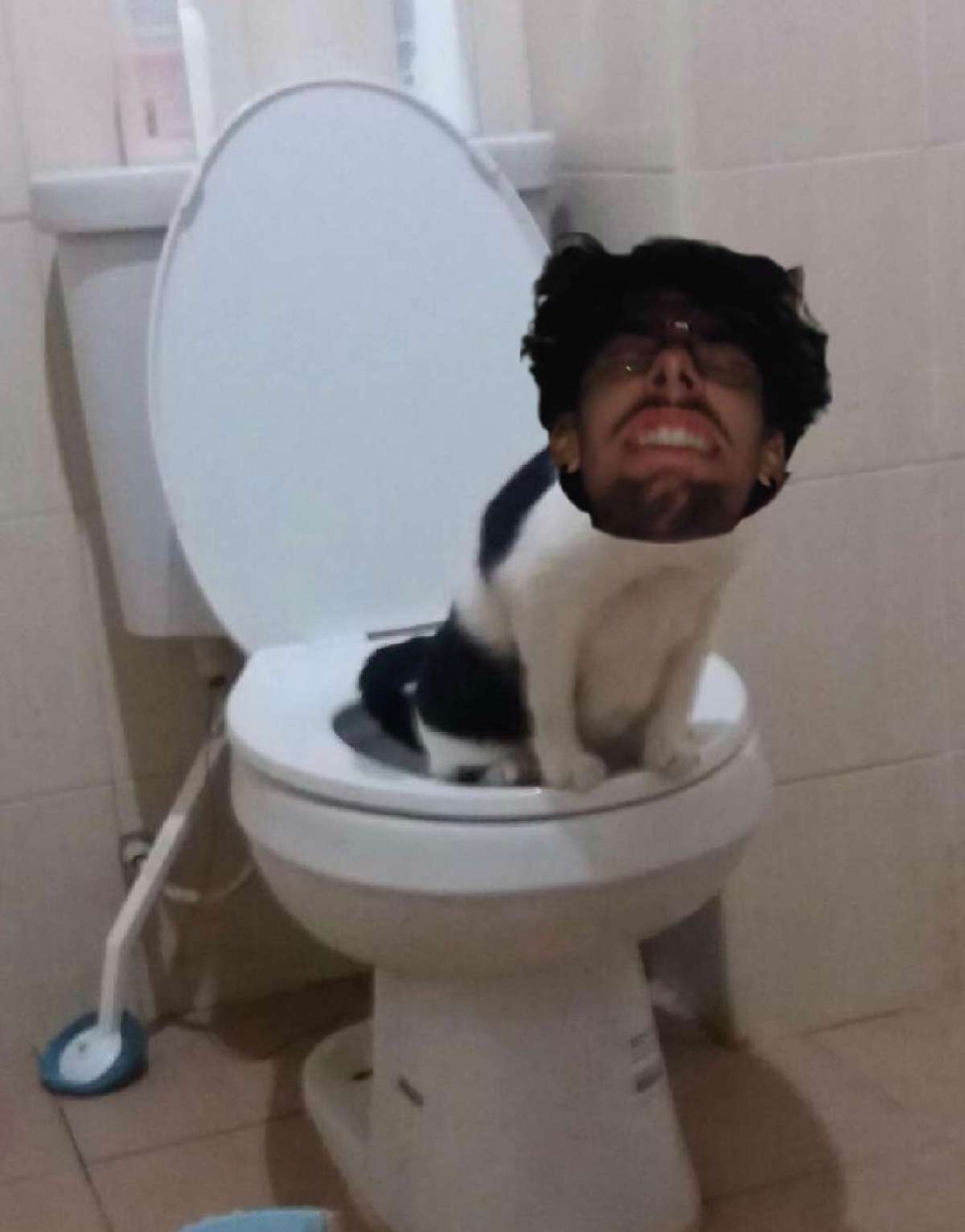 Du g&eacute;nie
