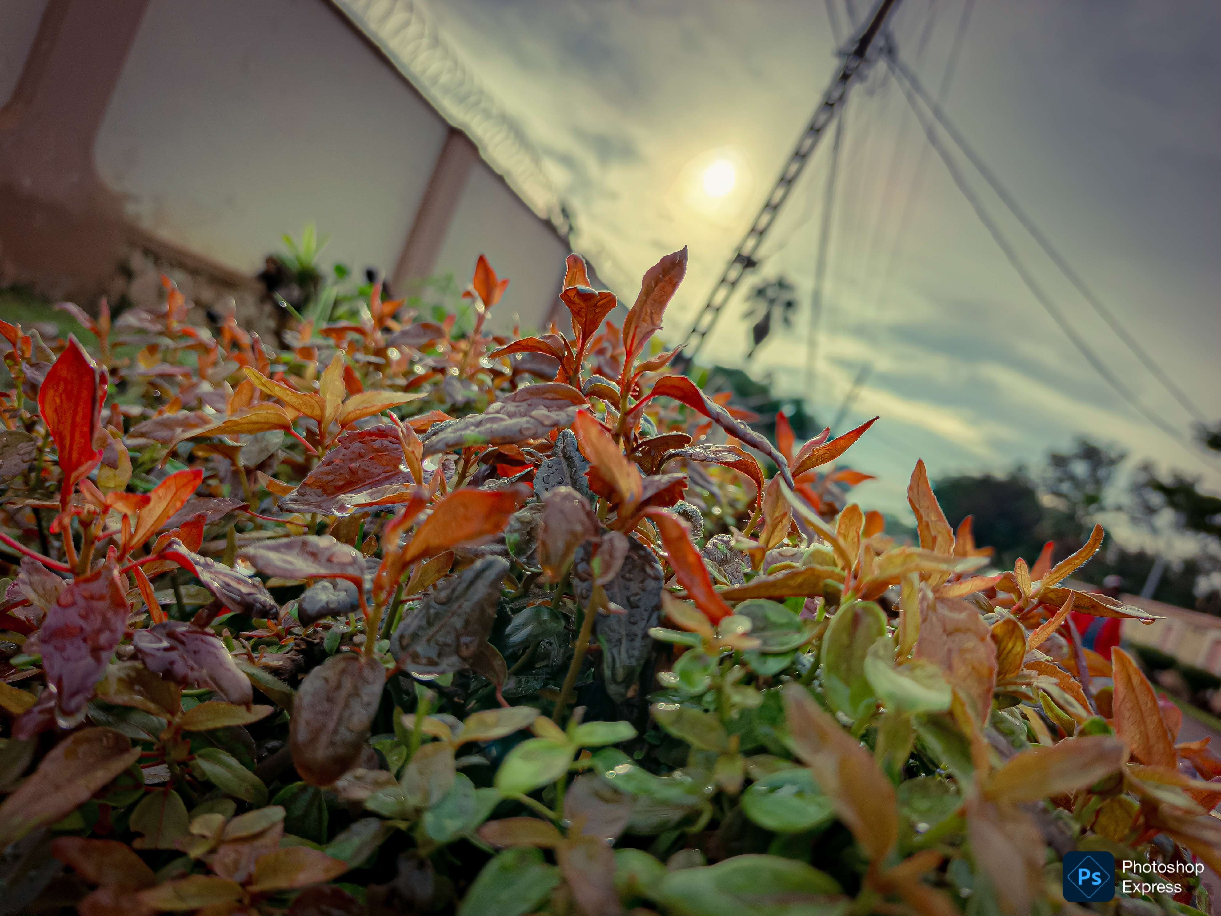 #photographie