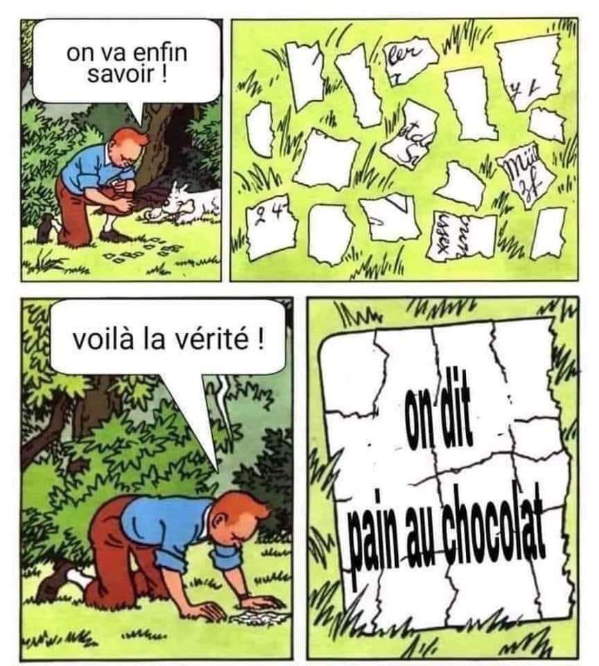 M&ecirc;me tintin le dit