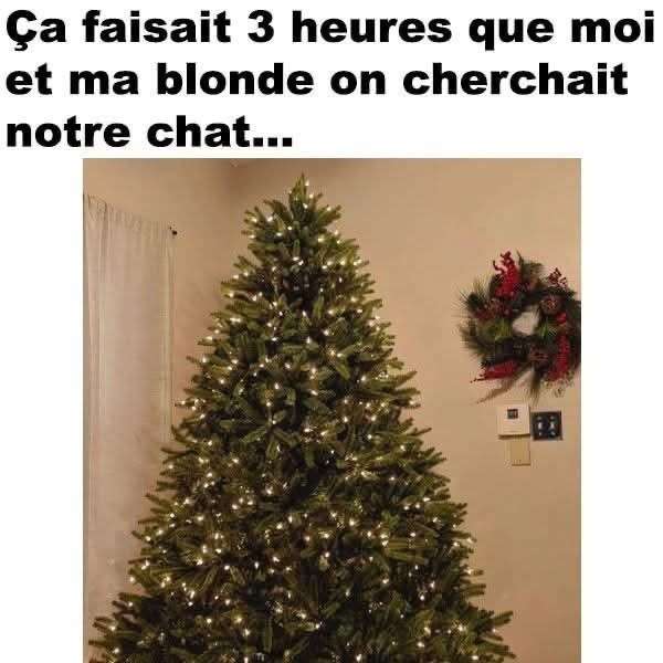 Un Chapin de Noel 😹