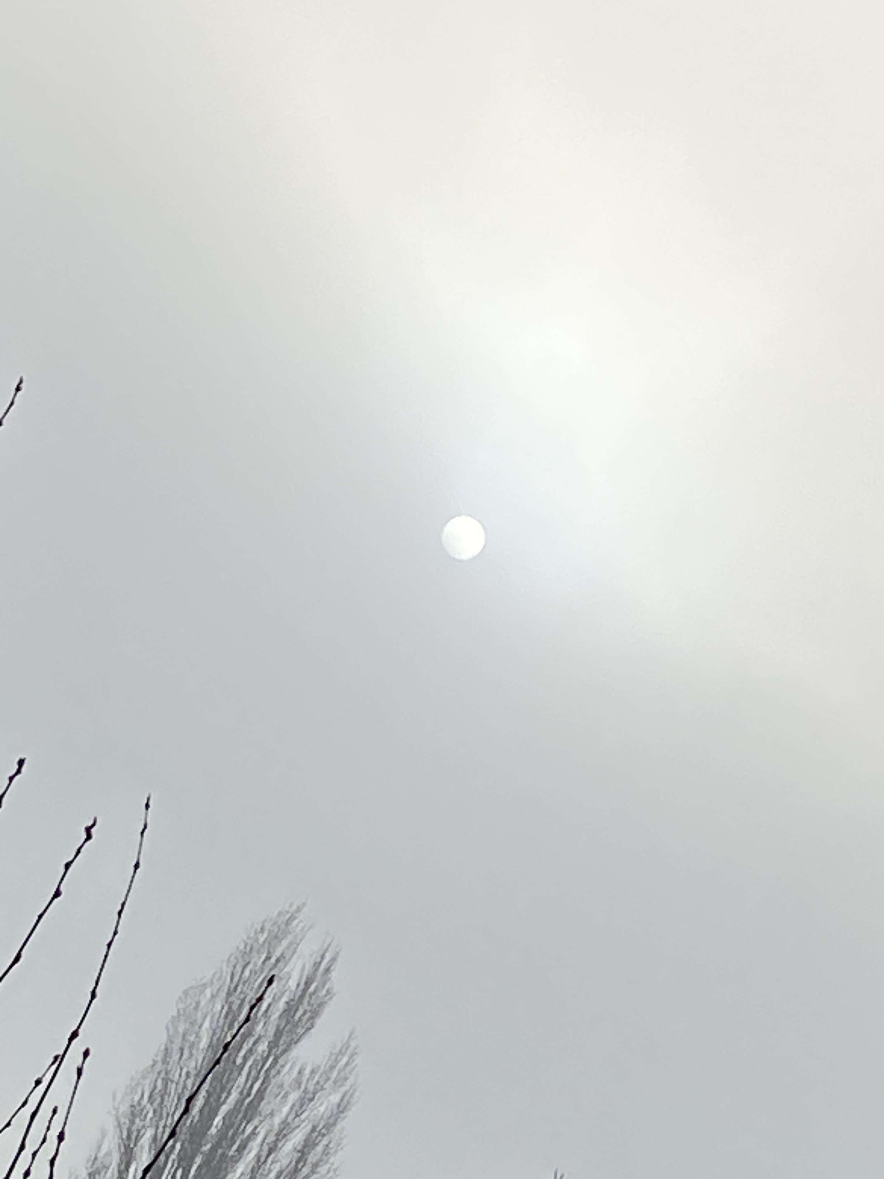 Pleine lune, par temps brumeux. 
Elle est toute blanche, je la trouve magnifique ☺️