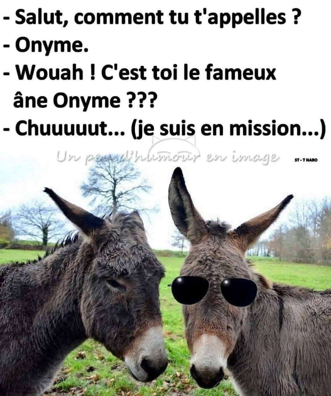 🫏 🥷