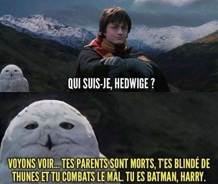 Mais pourquoi 😂😂